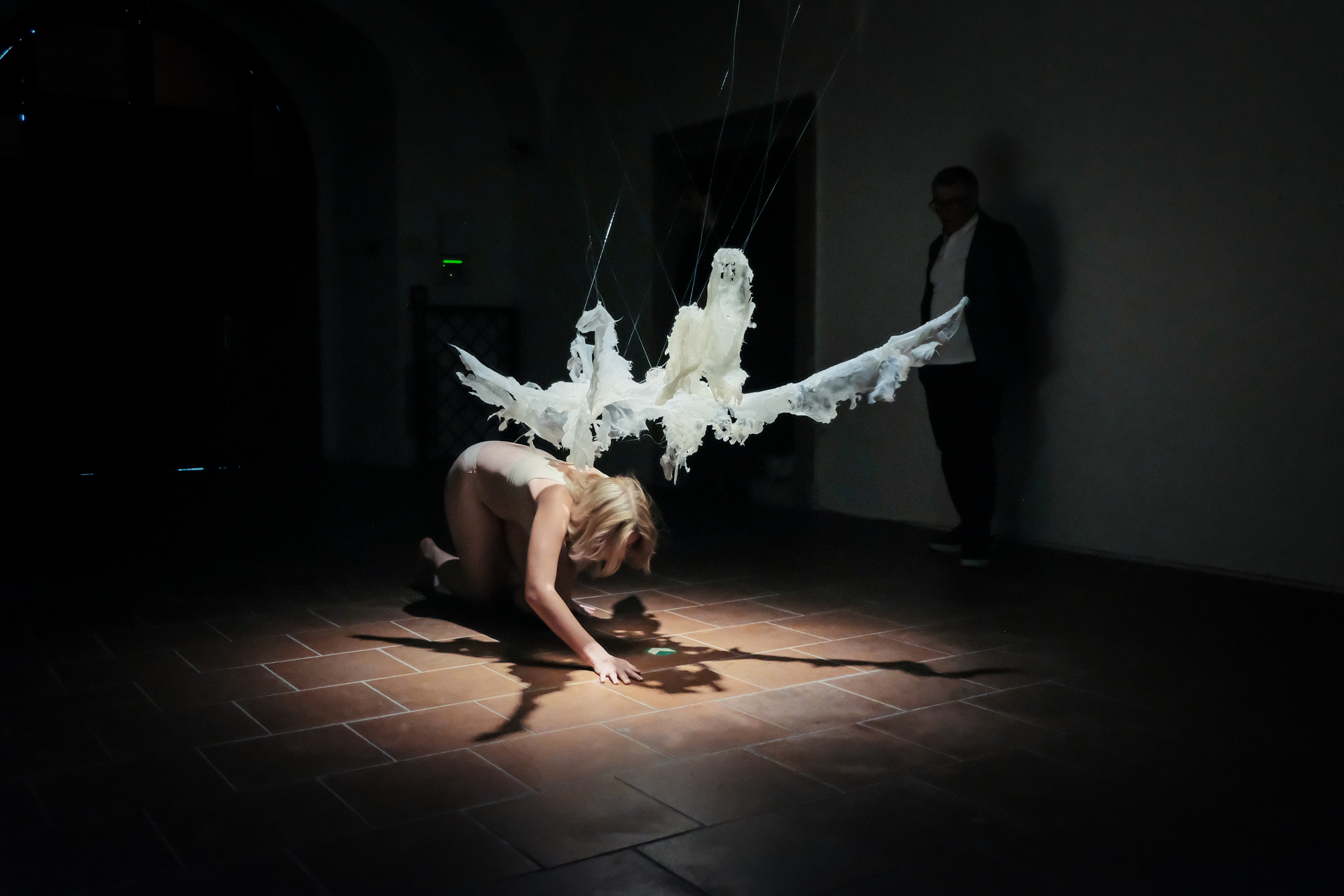 Exhibiton: Exploring the Bavarian forest 2024