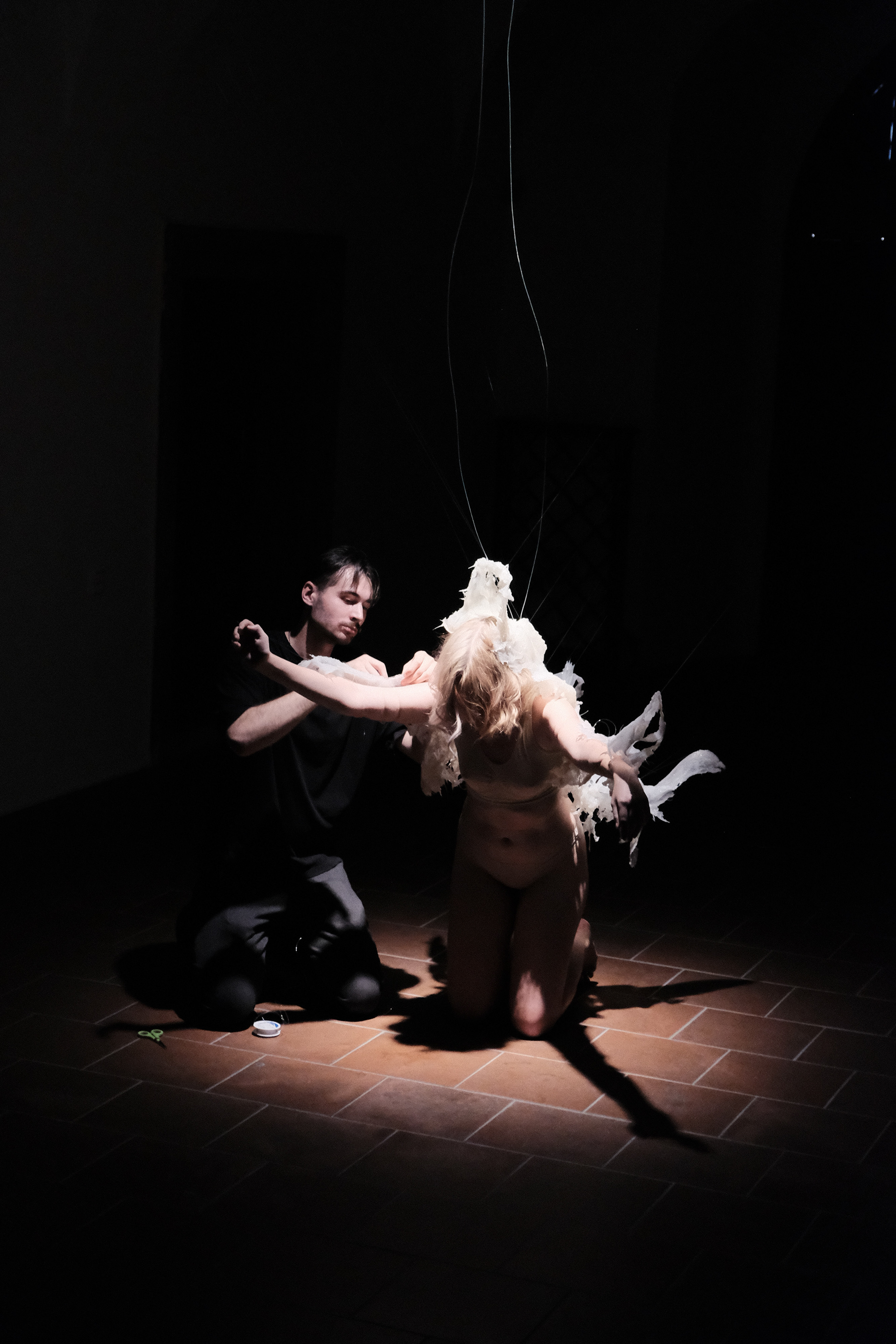 Exhibiton: Exploring the Bavarian forest 2024