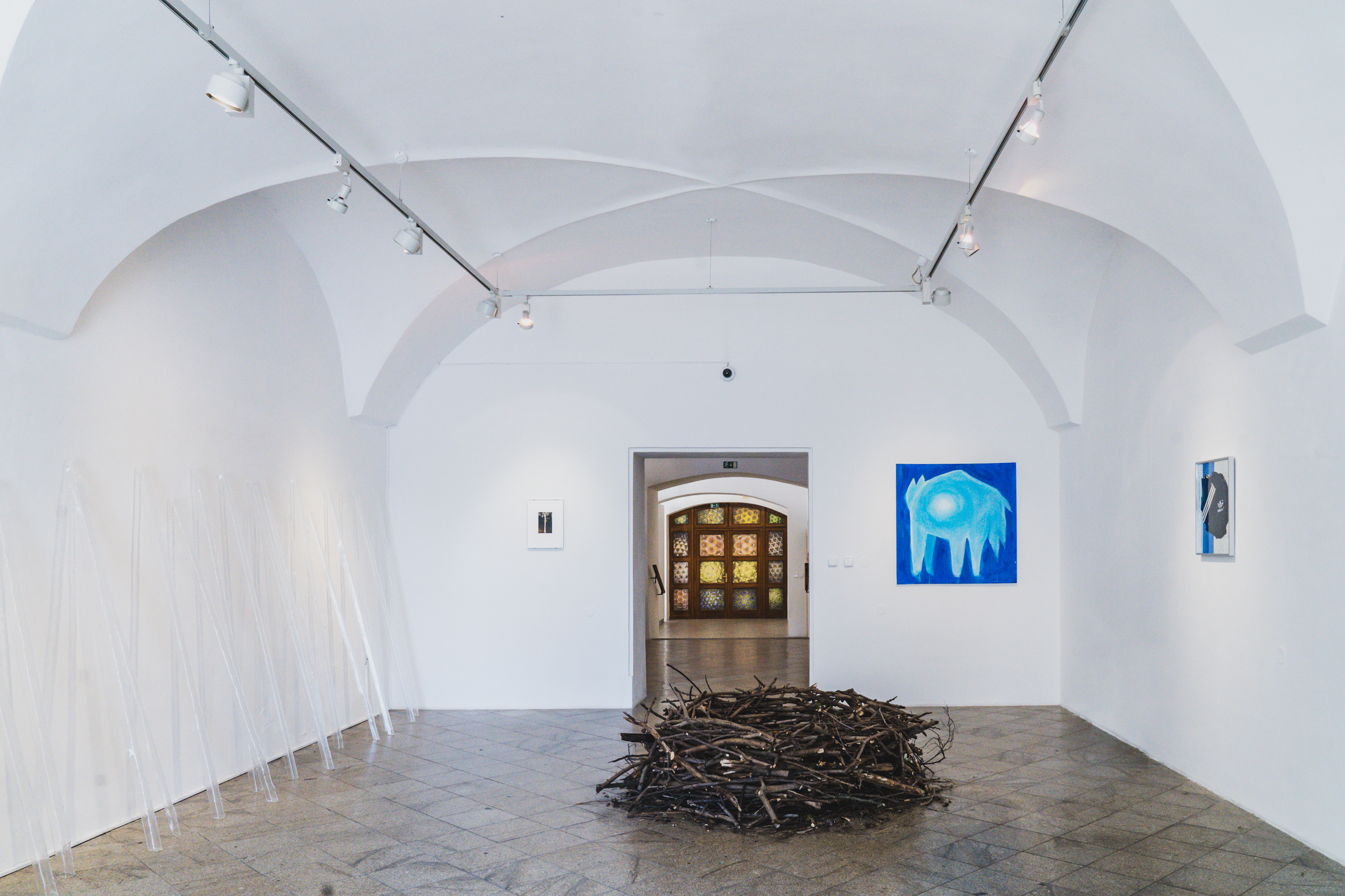 Exhibiton: Exploring the Bavarian forest 2024