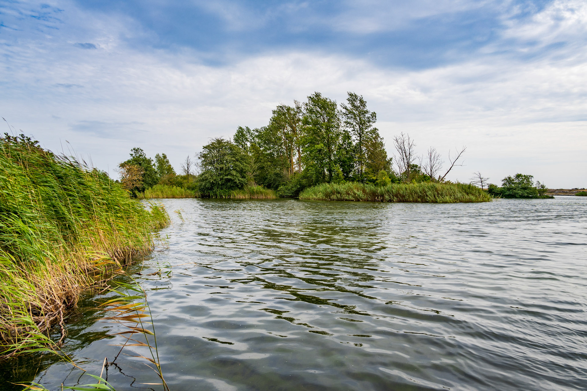 Lake by the old limestone quarry, Öalnd.