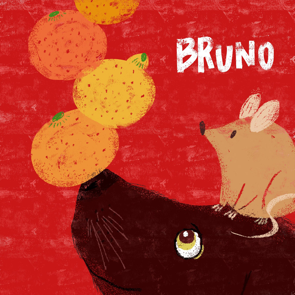 pet portrait 'Bruno'