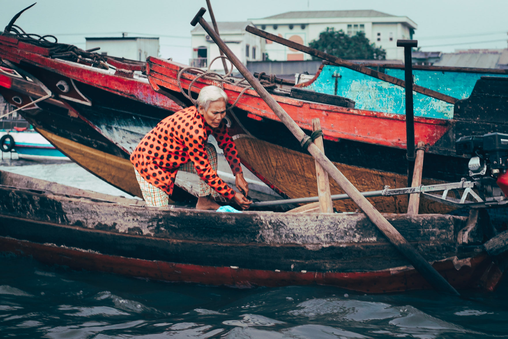 Mekon Vietnam