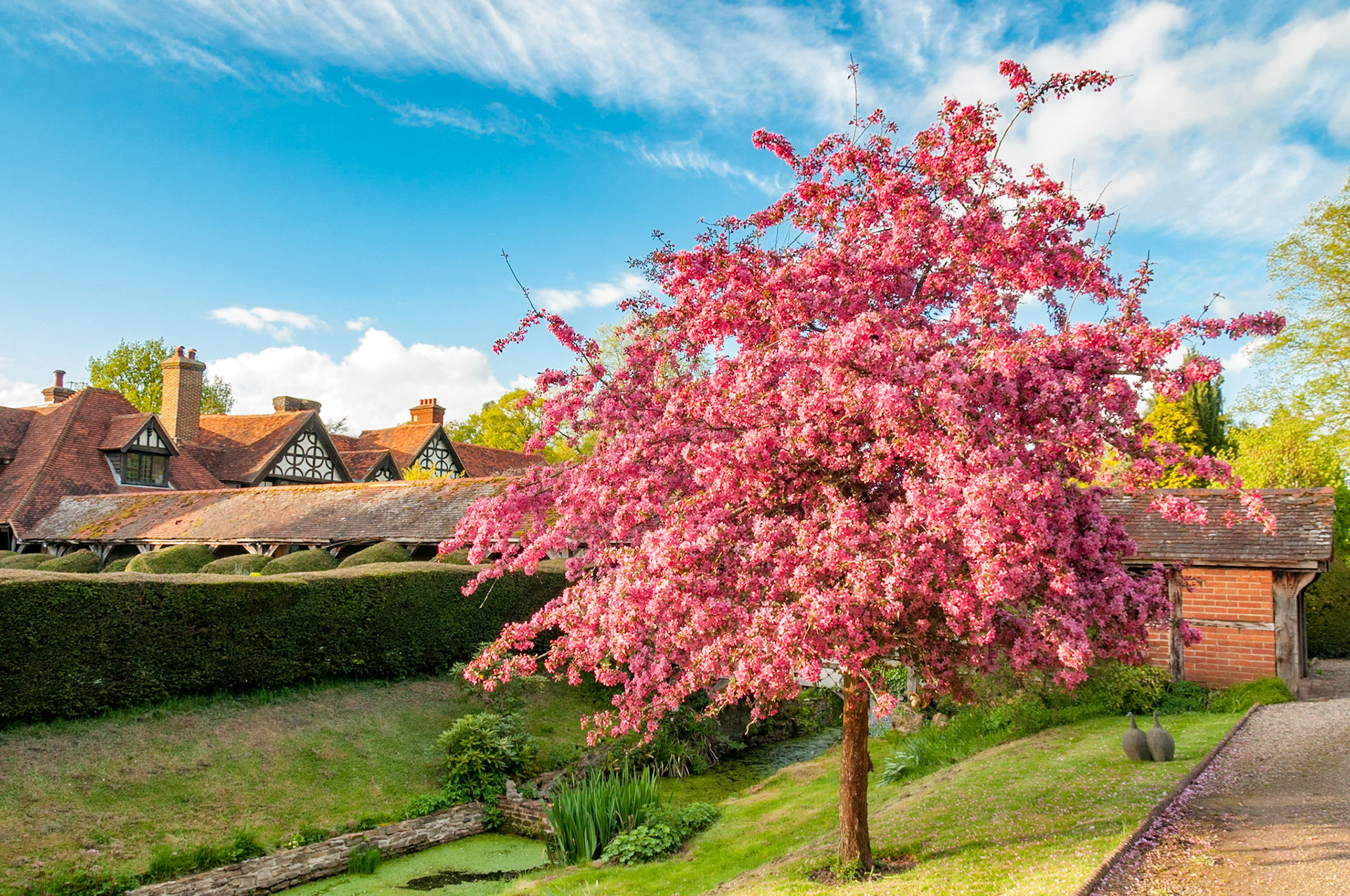 Blossom