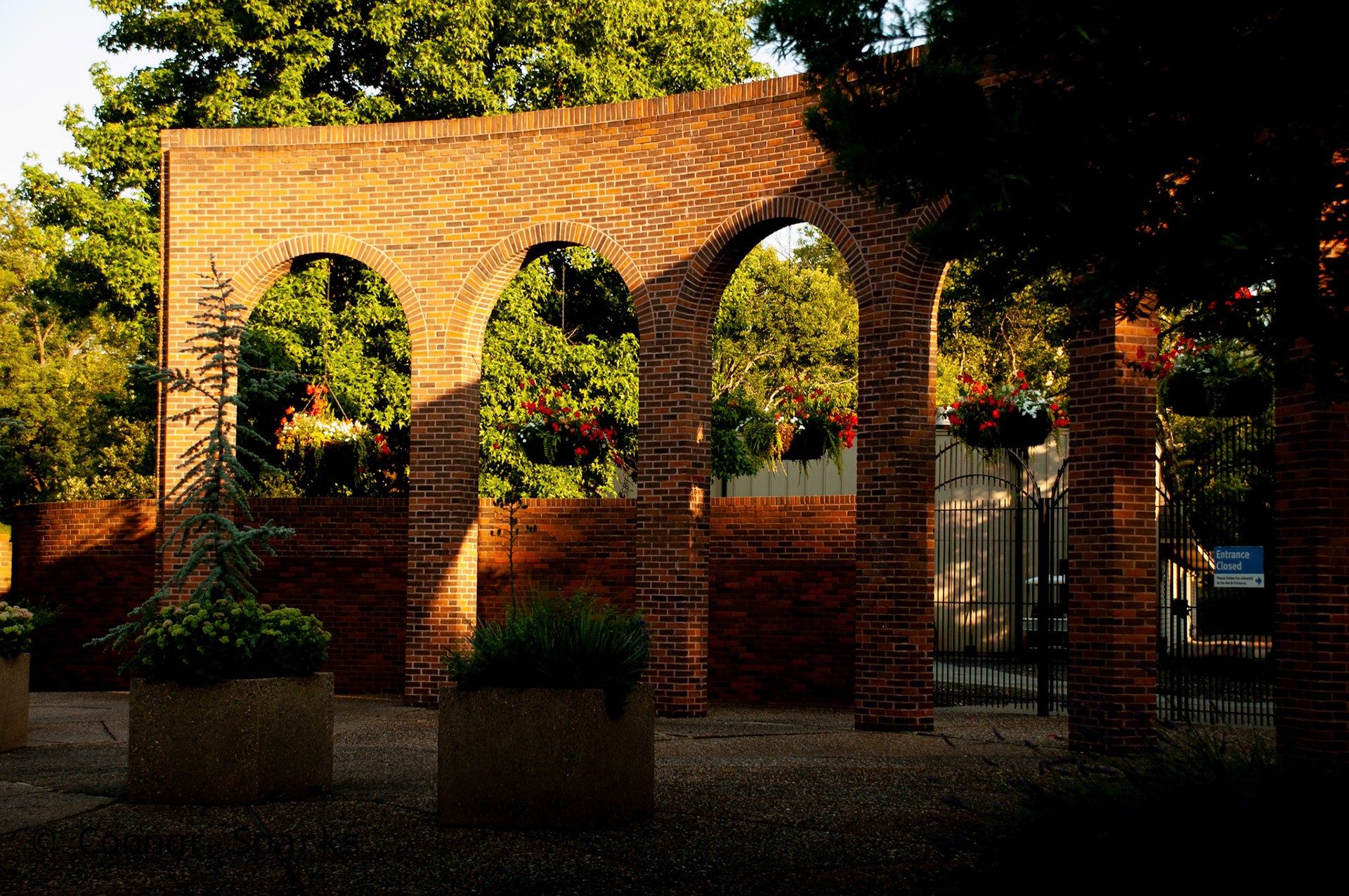 St.Louis Zoo