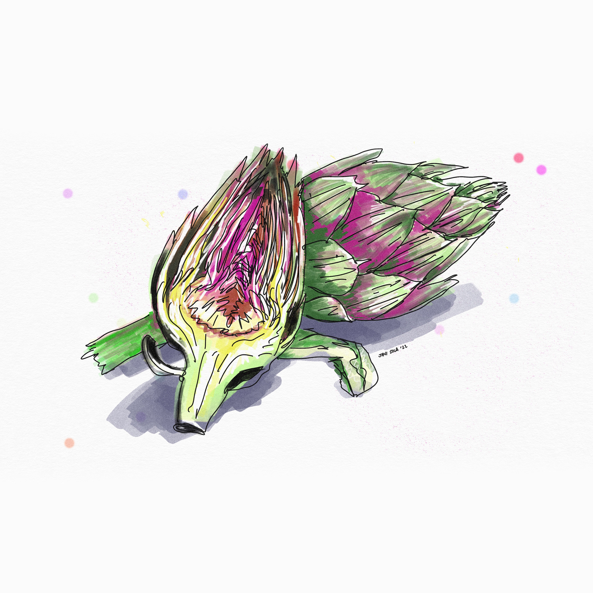 Artichoke Illustration