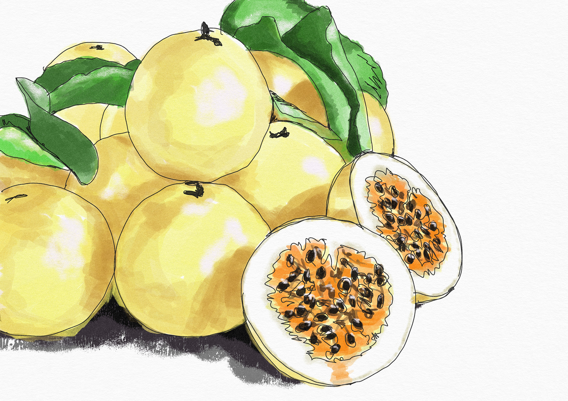 Parchas (Passion Fruit) Illustration