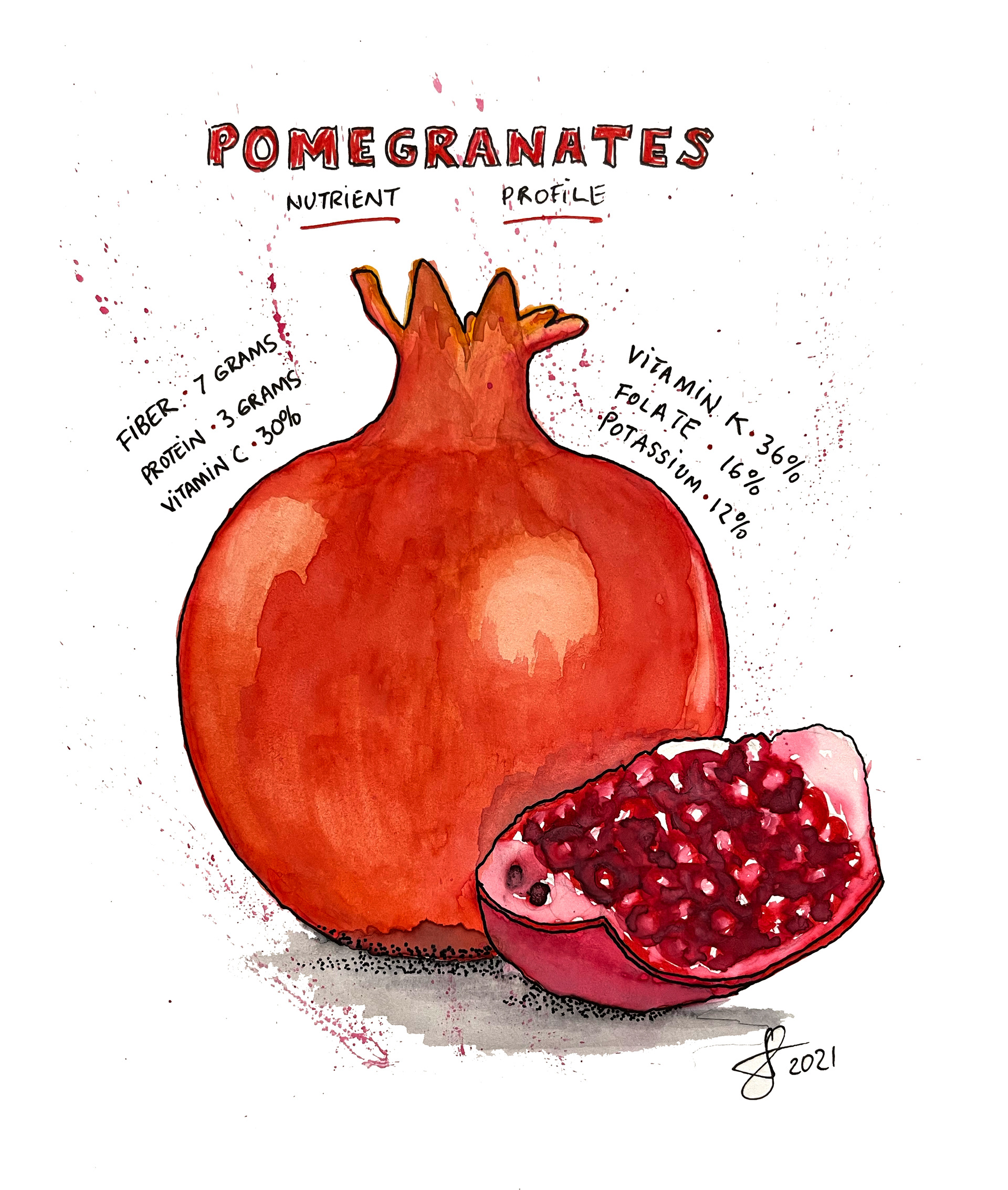 Traditional Watercolor - Pomegranate Poster