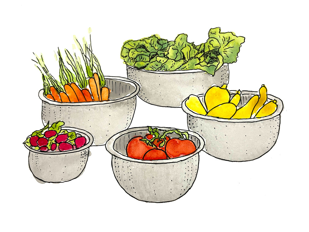 Traditional Watercolor - Produce Bowls