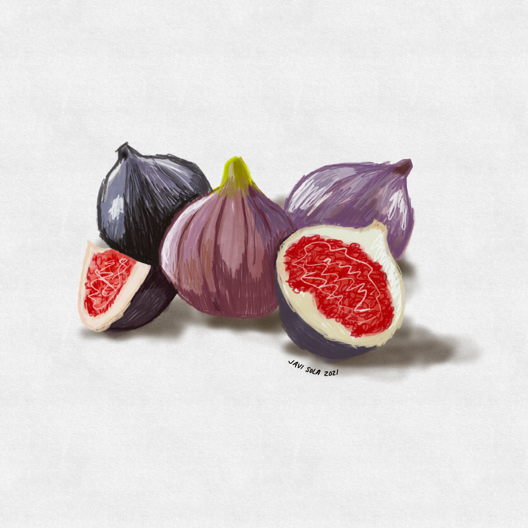 Figs Illustration