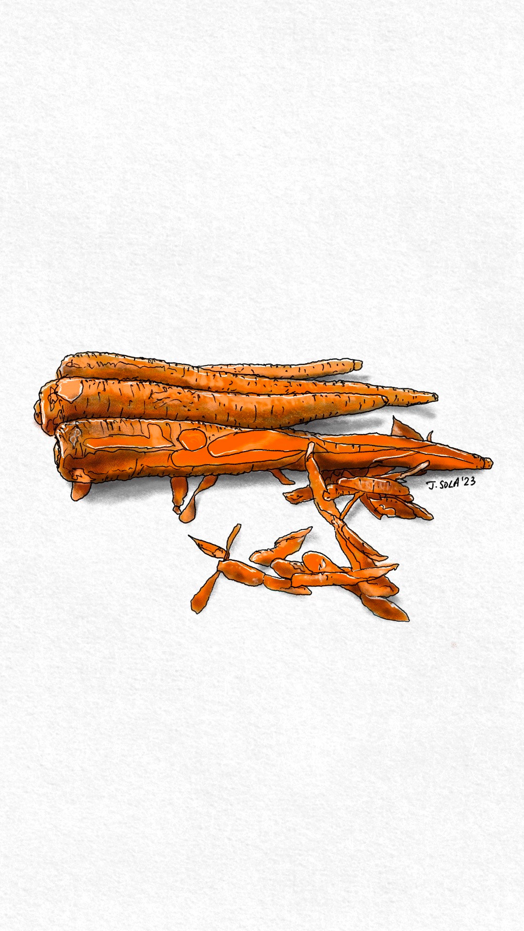 Carrots Illustration