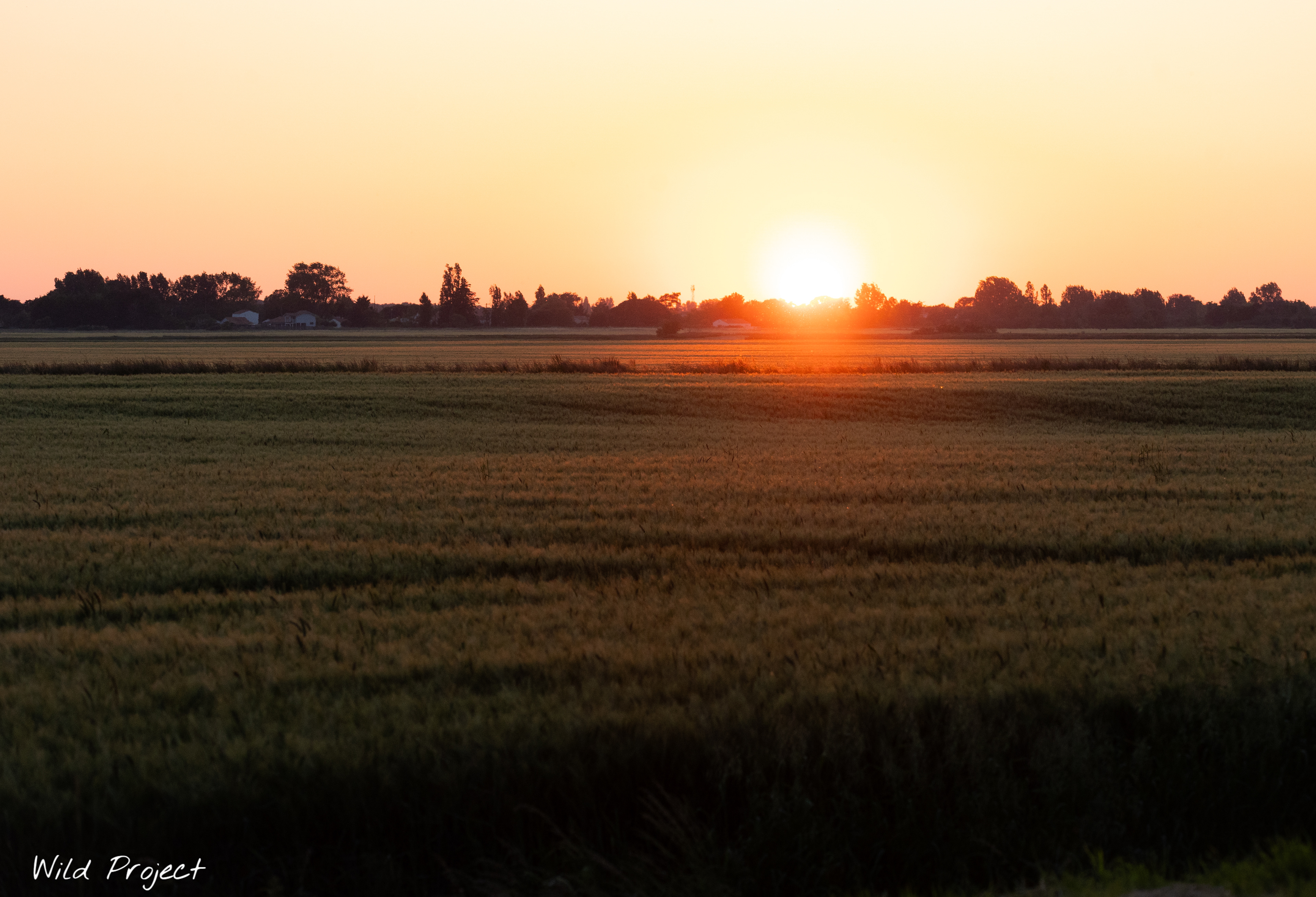A bucolic sunset over the fields of the Dive, in the commune of Saint-Michel de l'Herm.