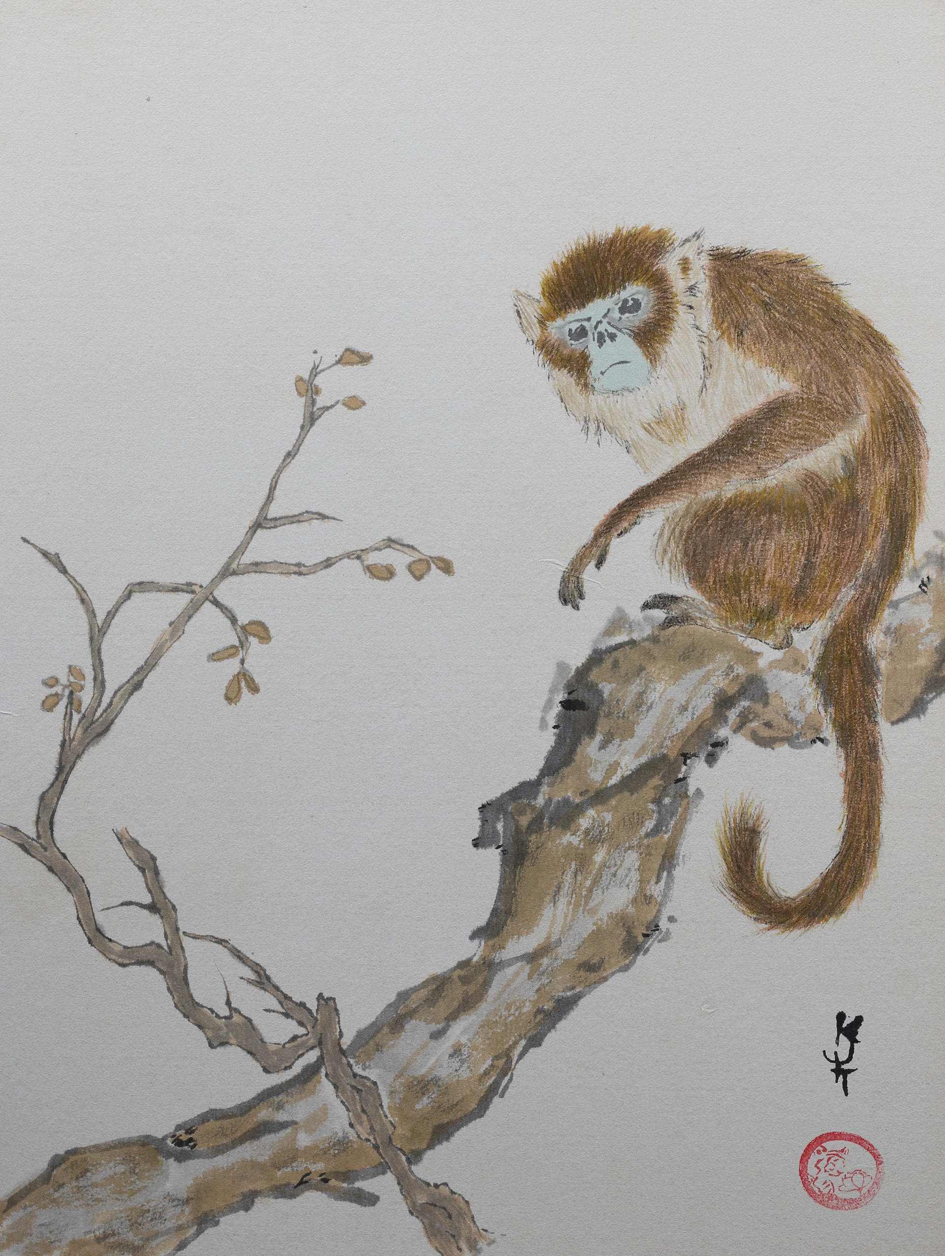 Golden monkey - sold