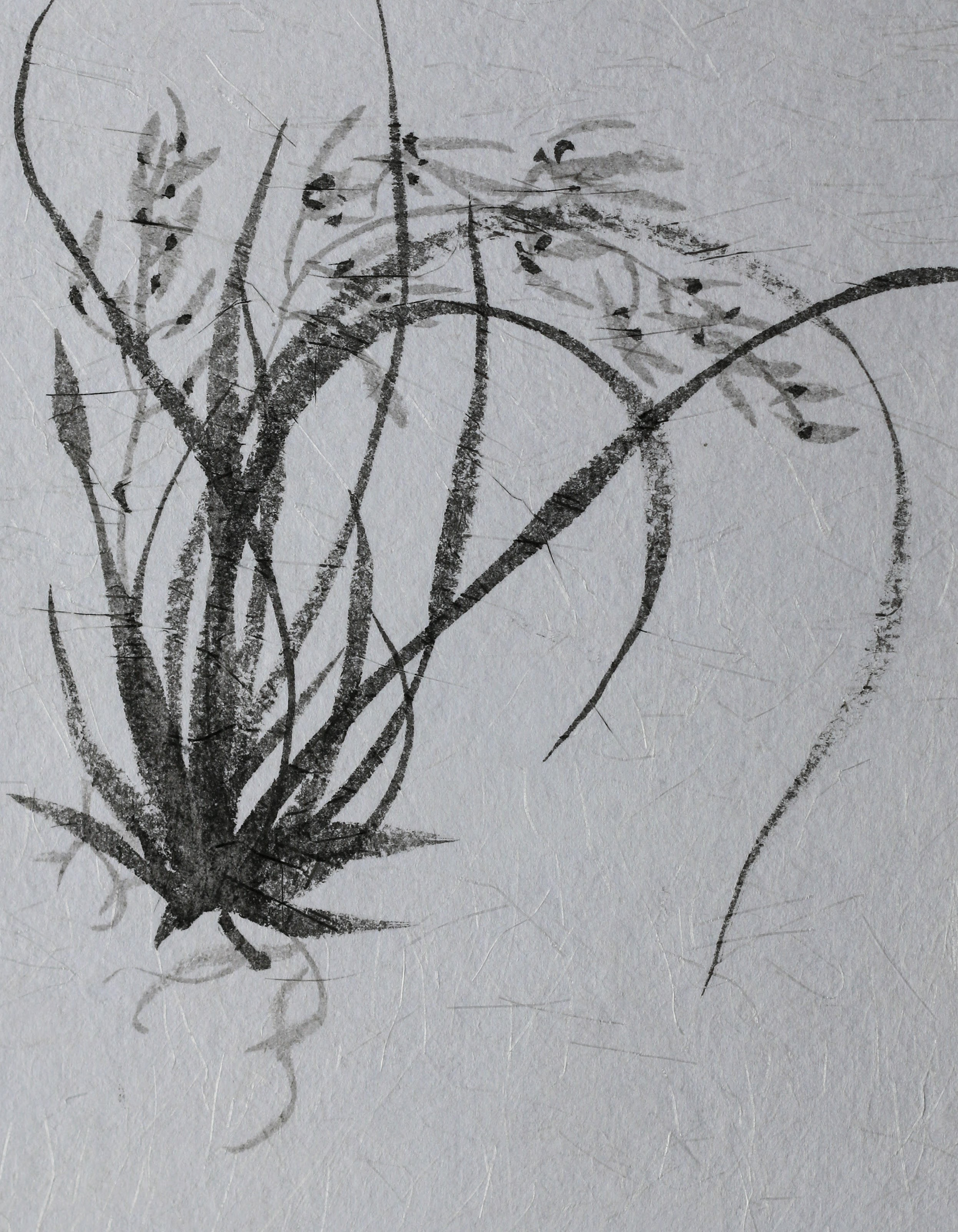 Flowing orchid - £120 (Framed 40x40cm)