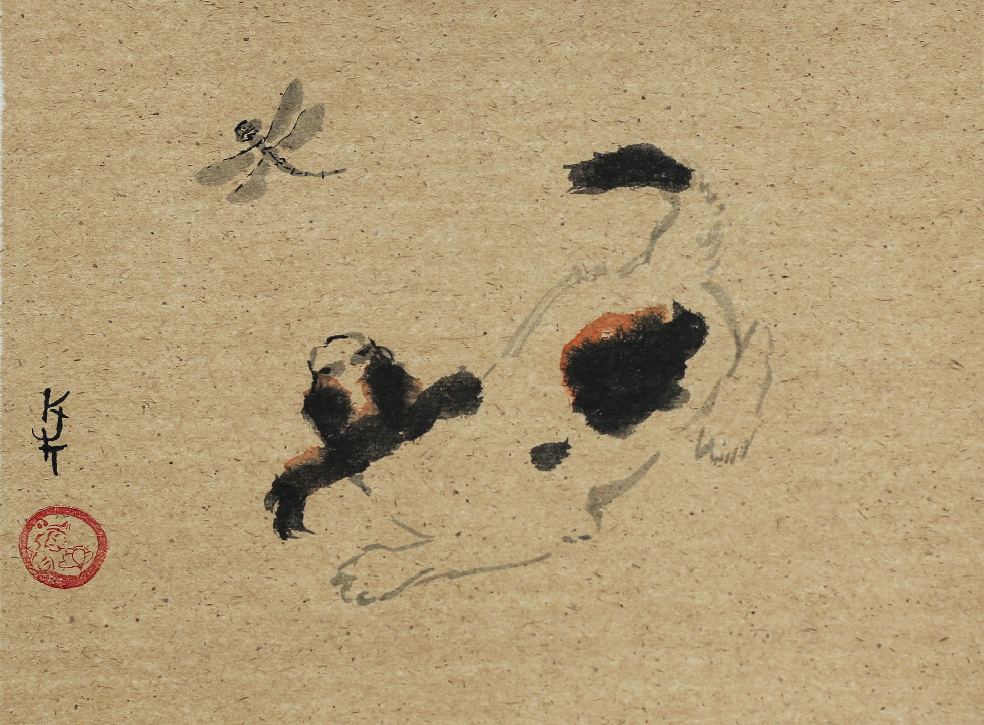 Puppy - sold