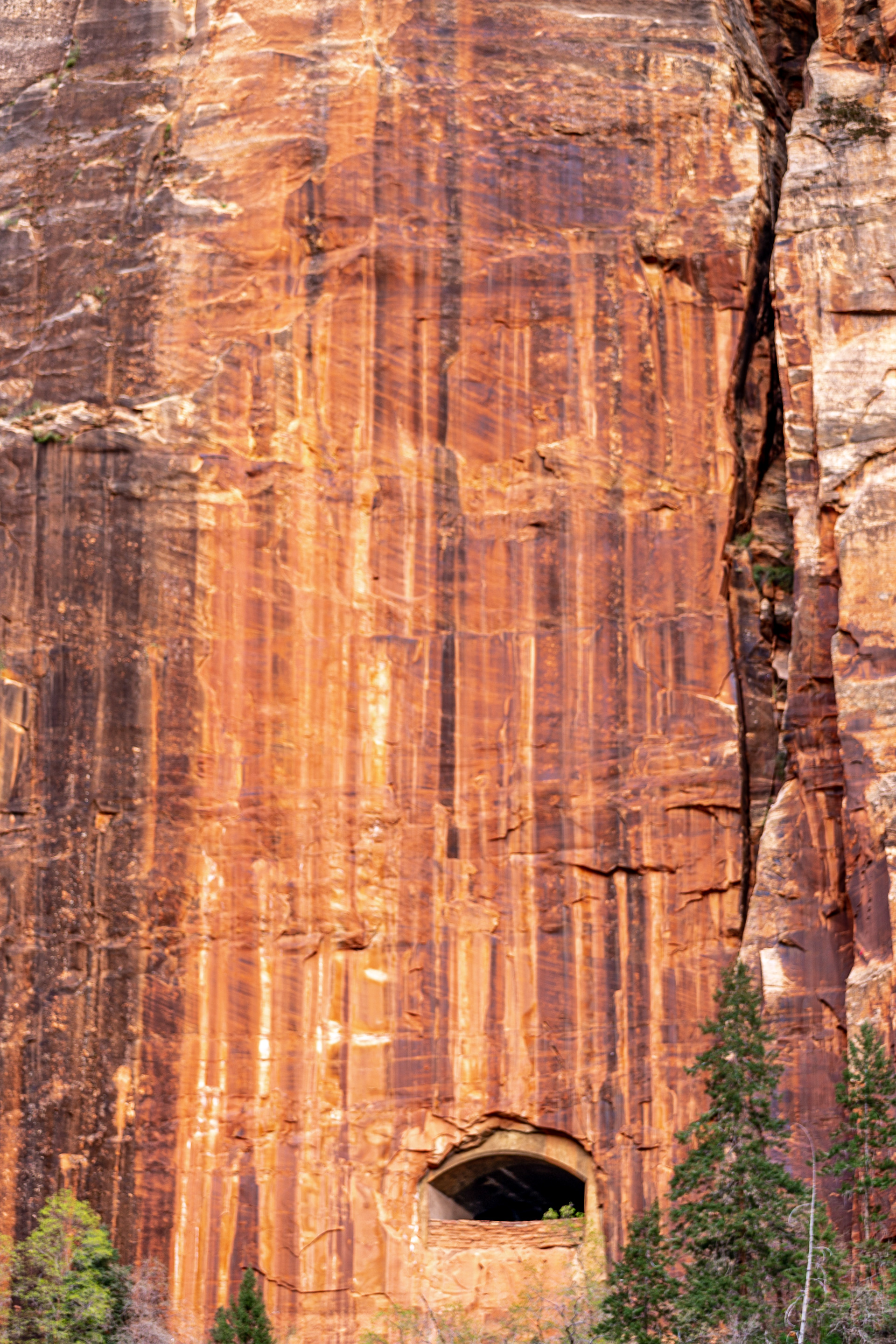 Zion