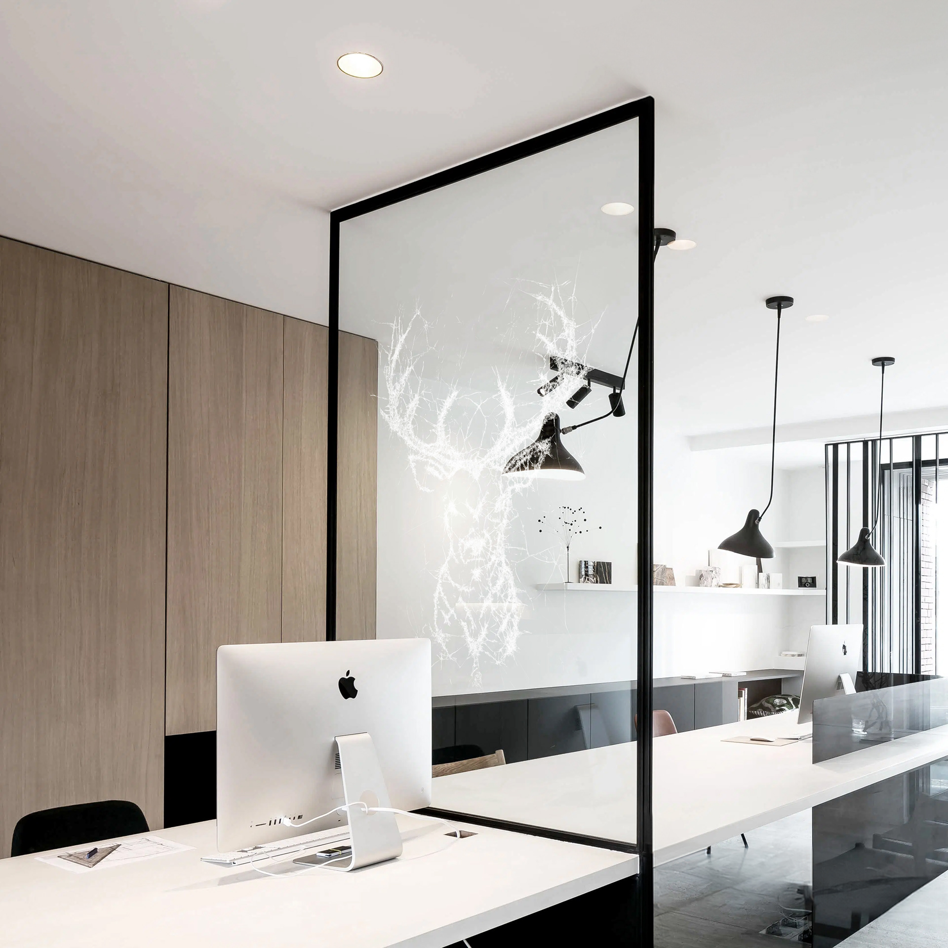 Unieke glazen wanddecoratie, ontworpen als functionele en esthetische ruimteverdeler.