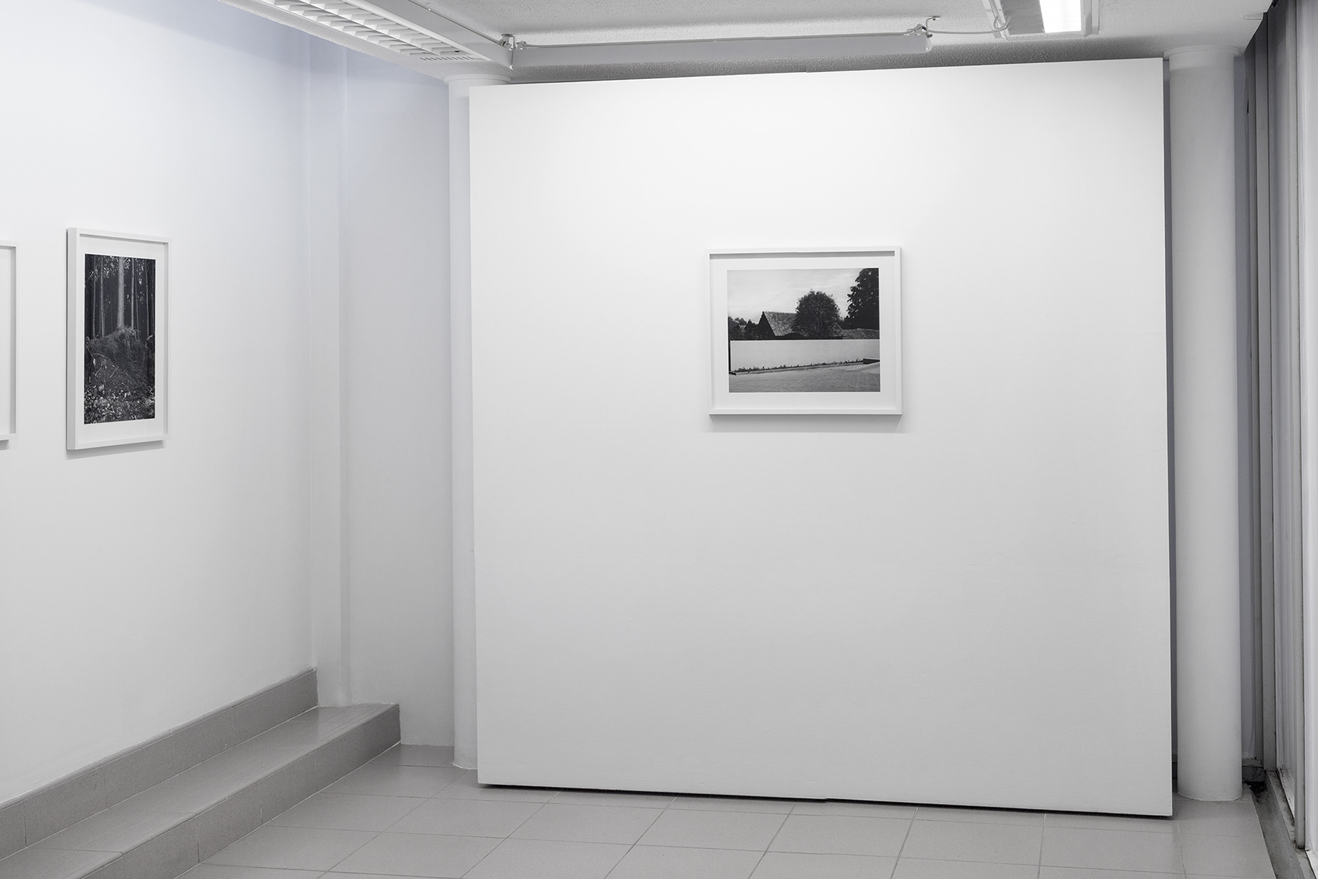 Exposição O MEIO DO MUNDO | Goethe-Institut Porto Alegre | 2020