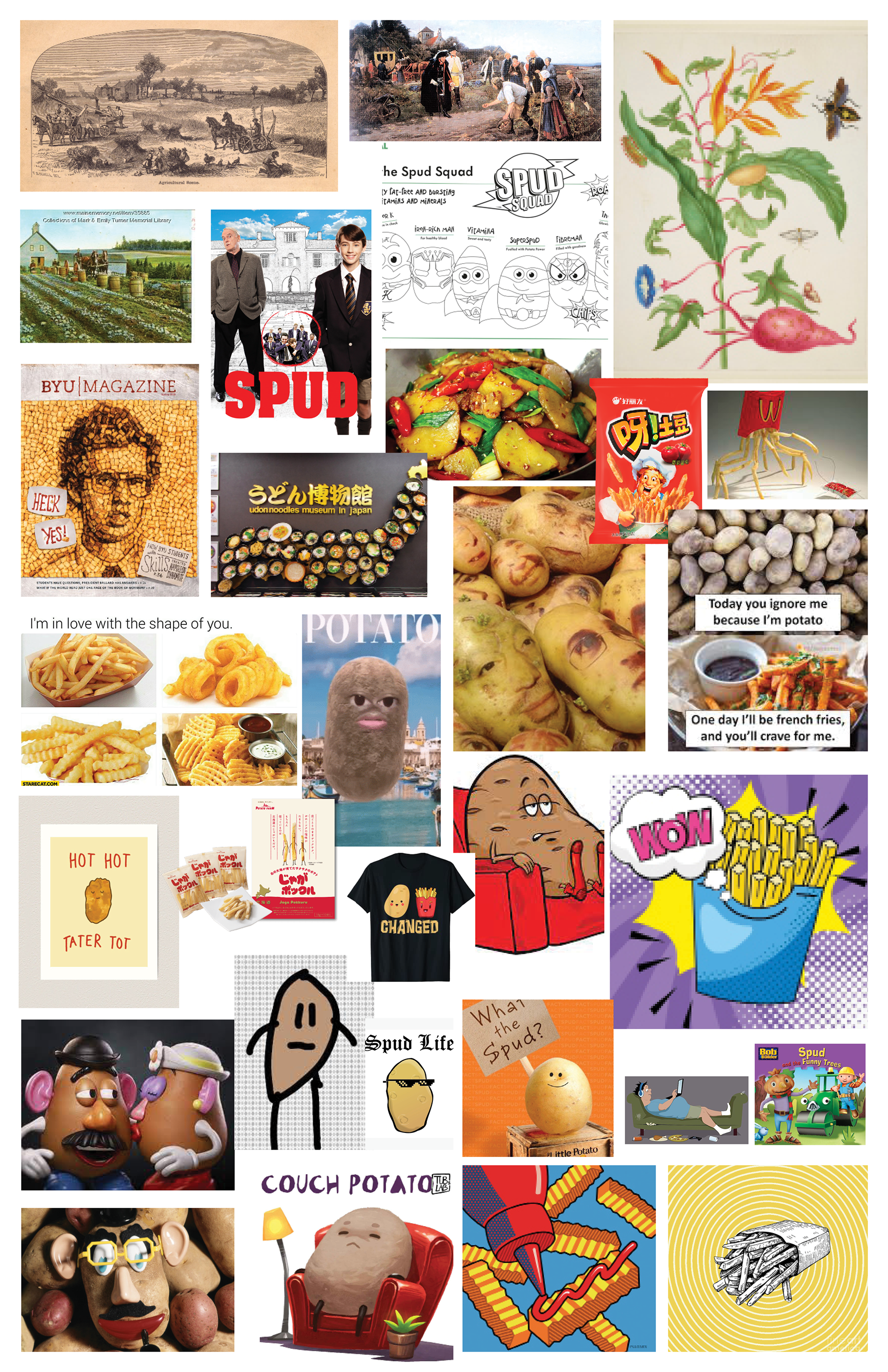 MEDIA/POP CULTURE