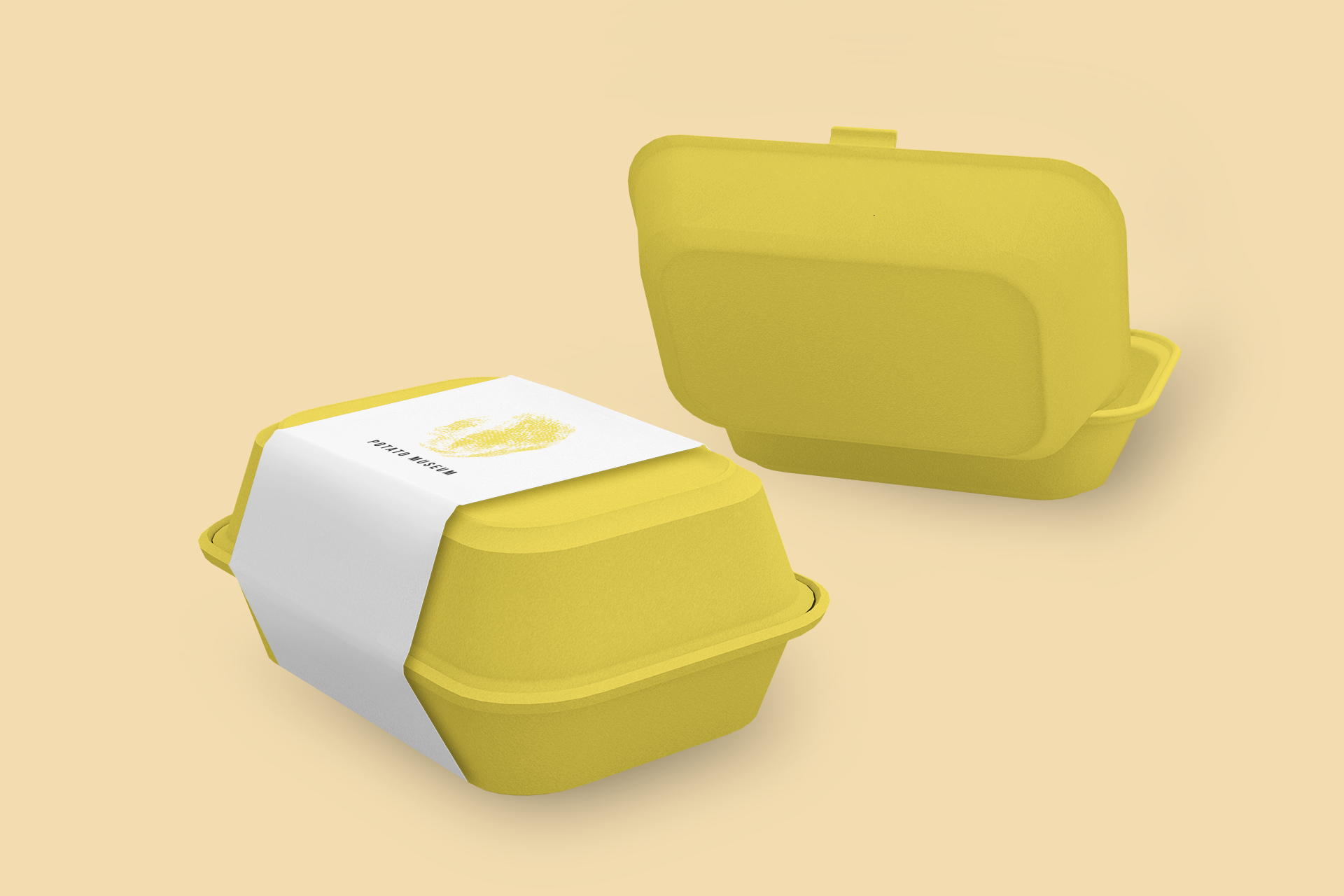 TAKEOUT BOX