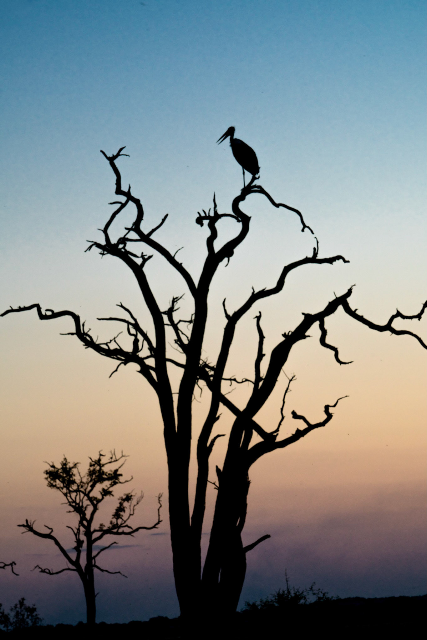 Crane-Chobe Park,
