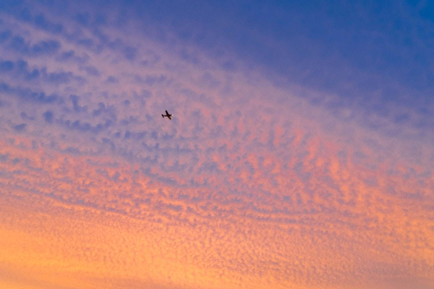 bon après midi, Marseille