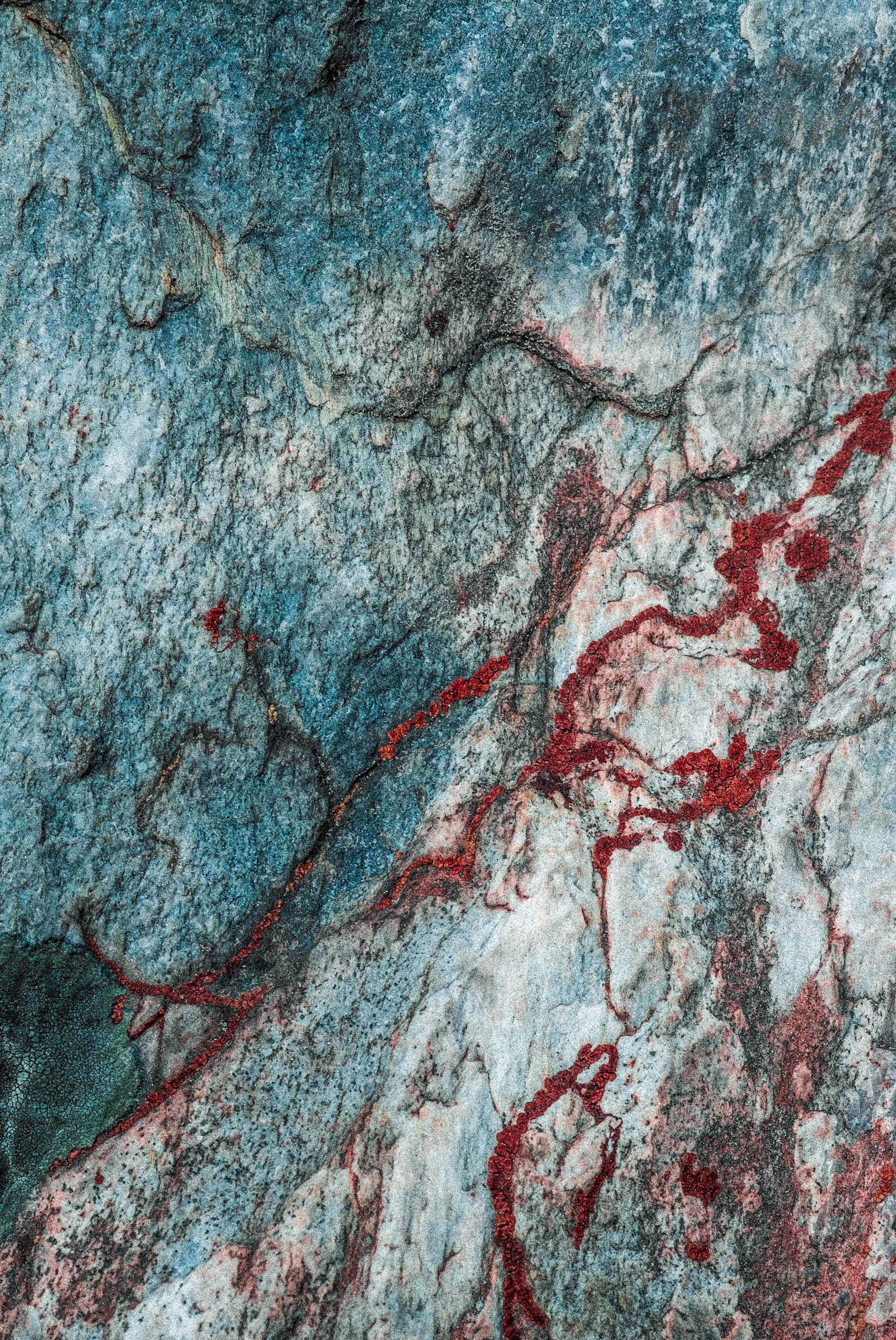 veins i