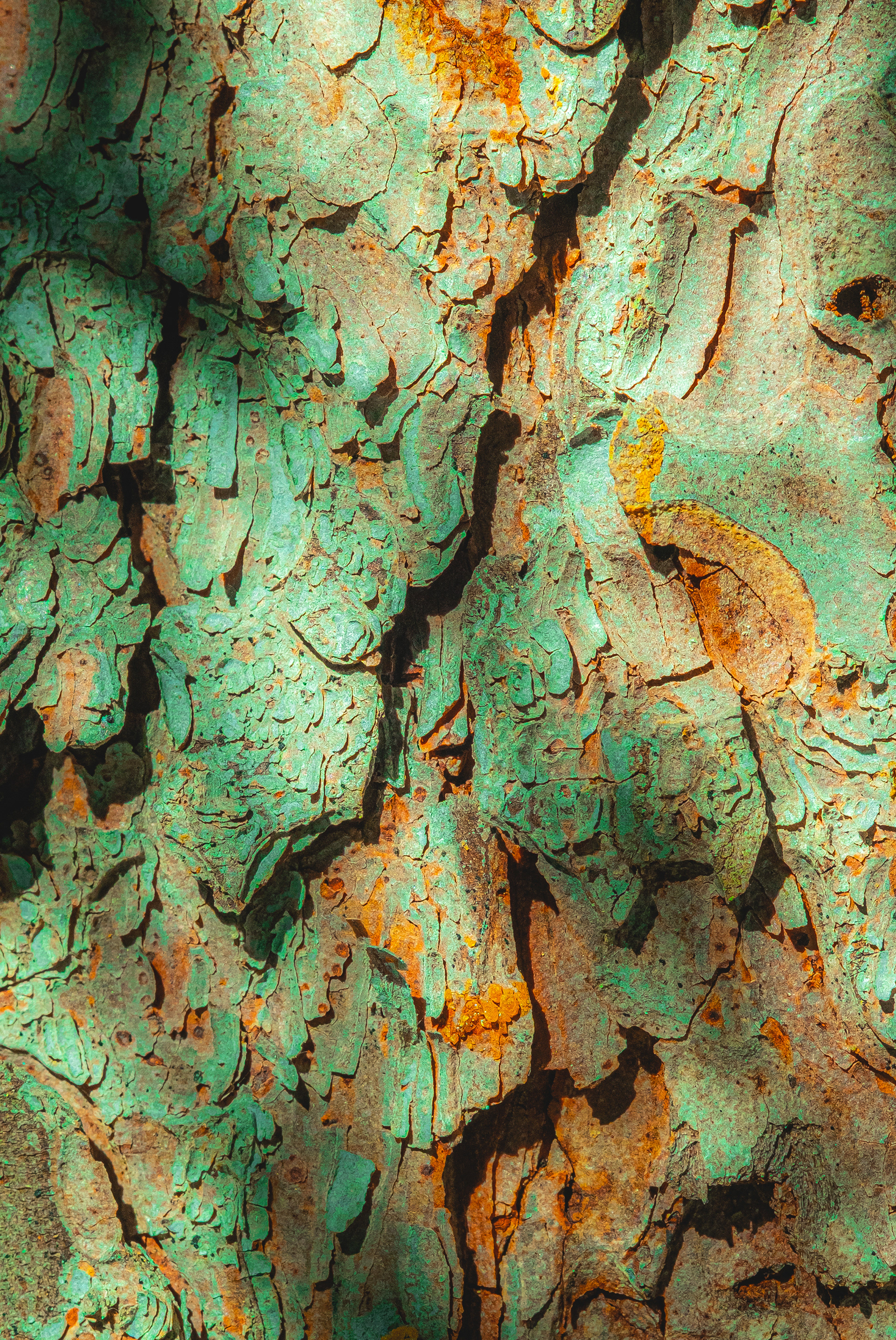 pinesol