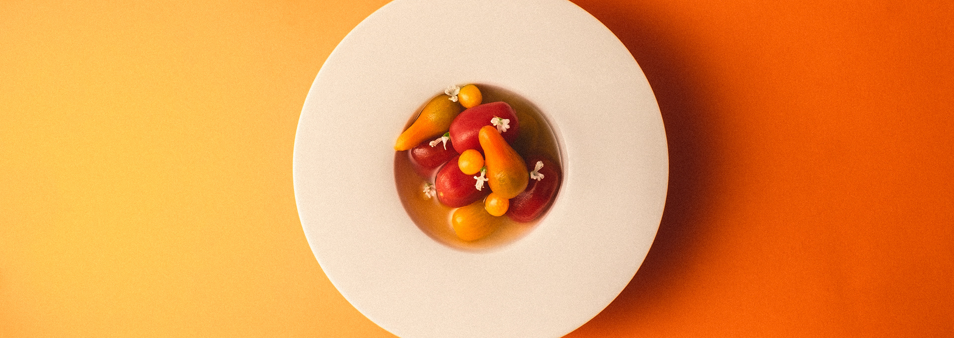 tomatoes in tomato water