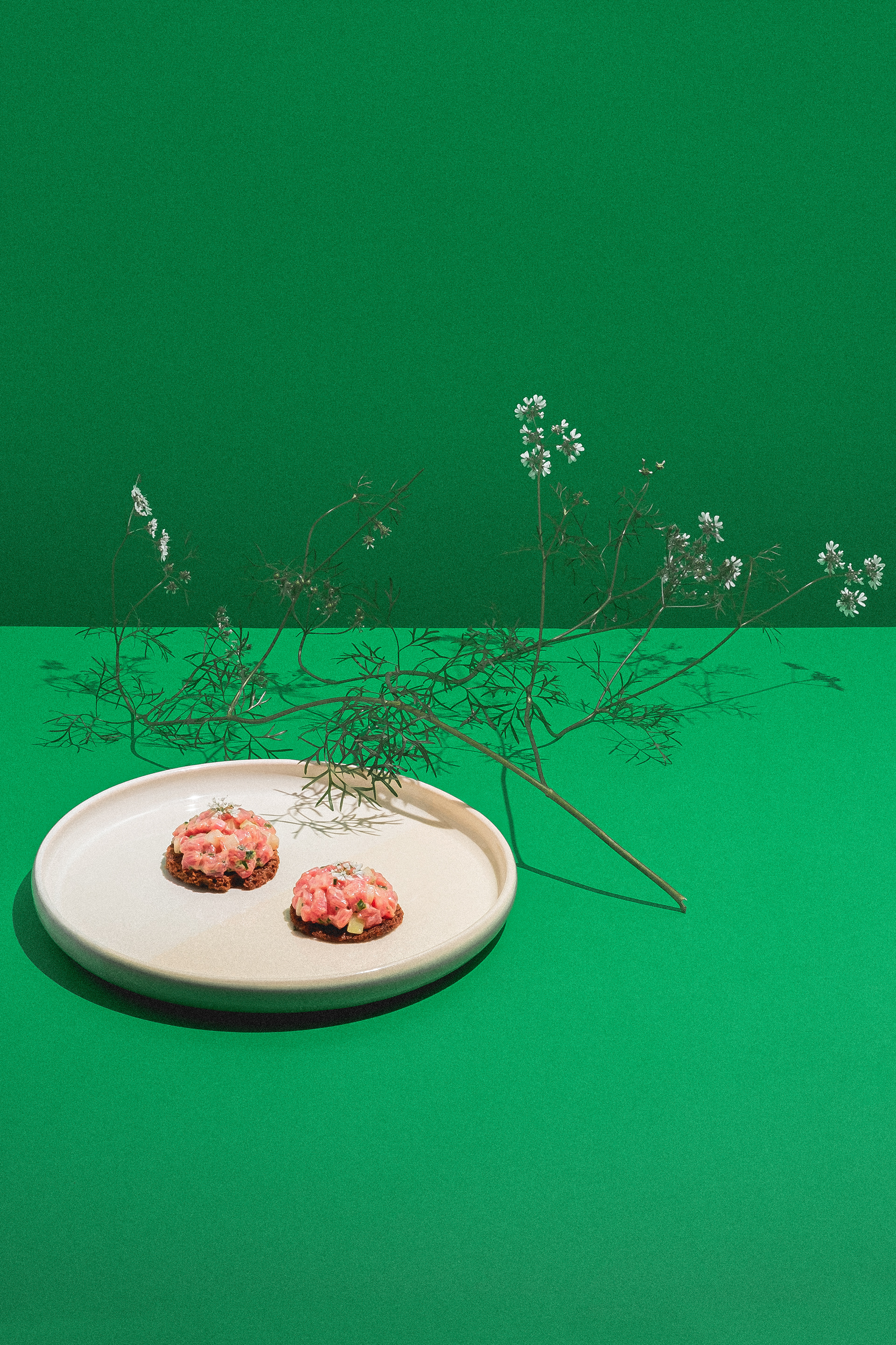 bison tartar