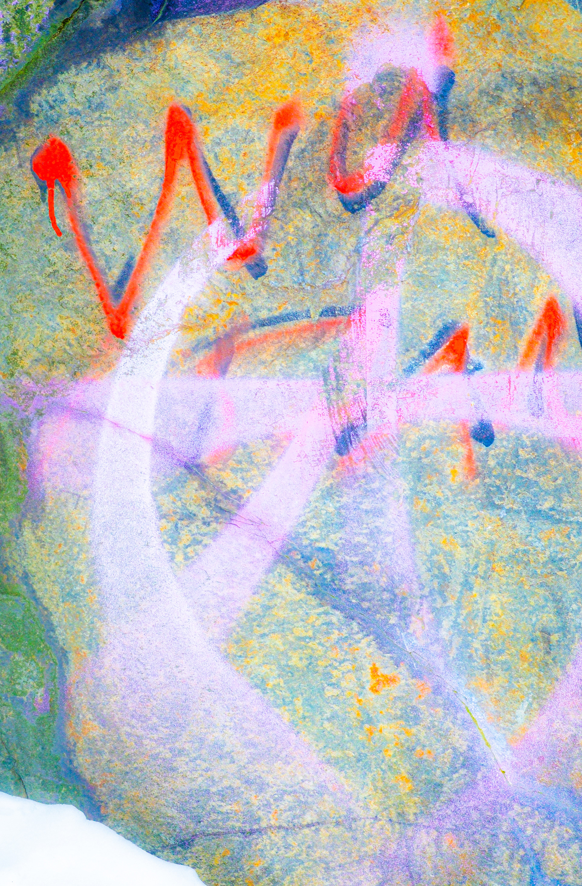 anarchy in pink