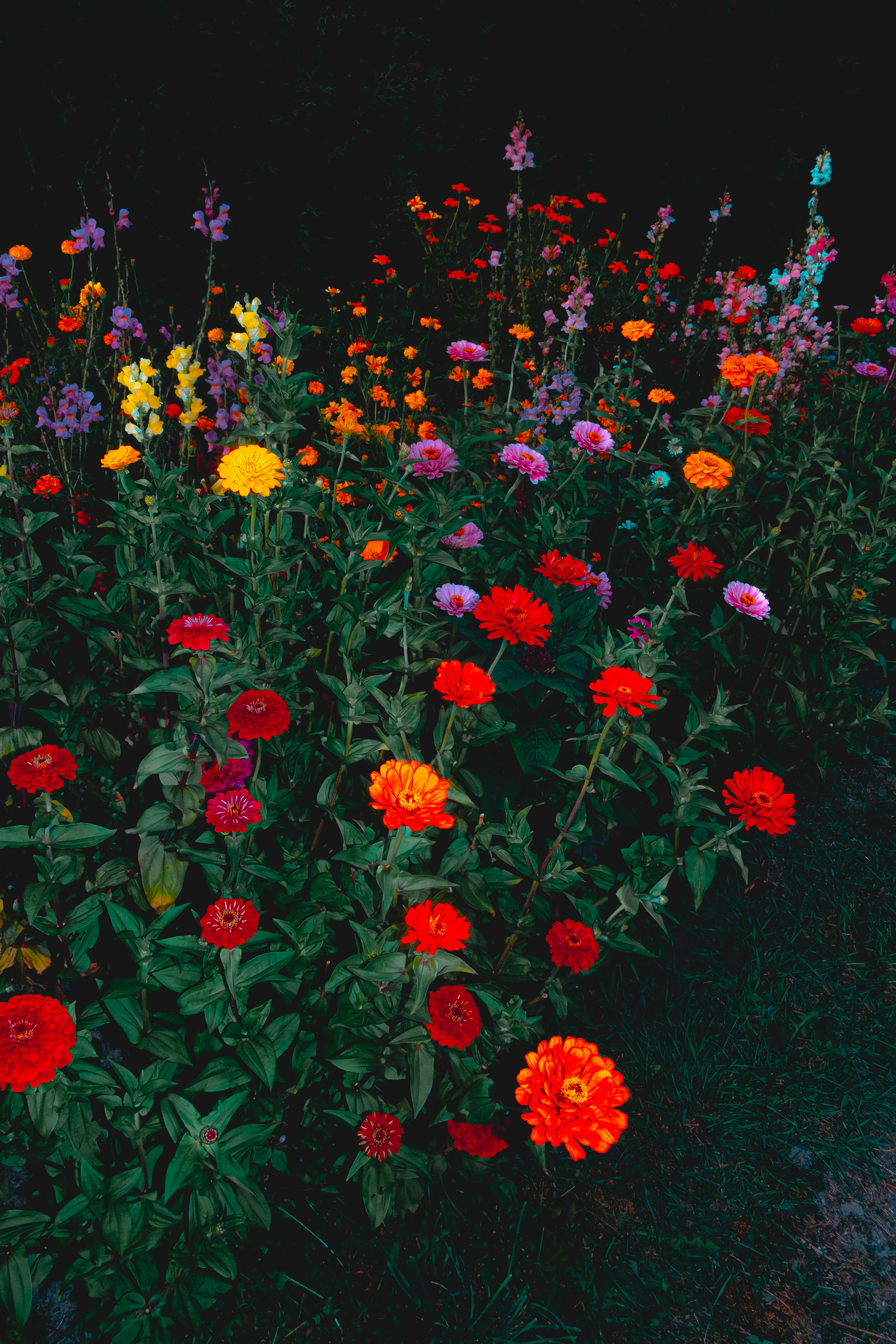 secret garden