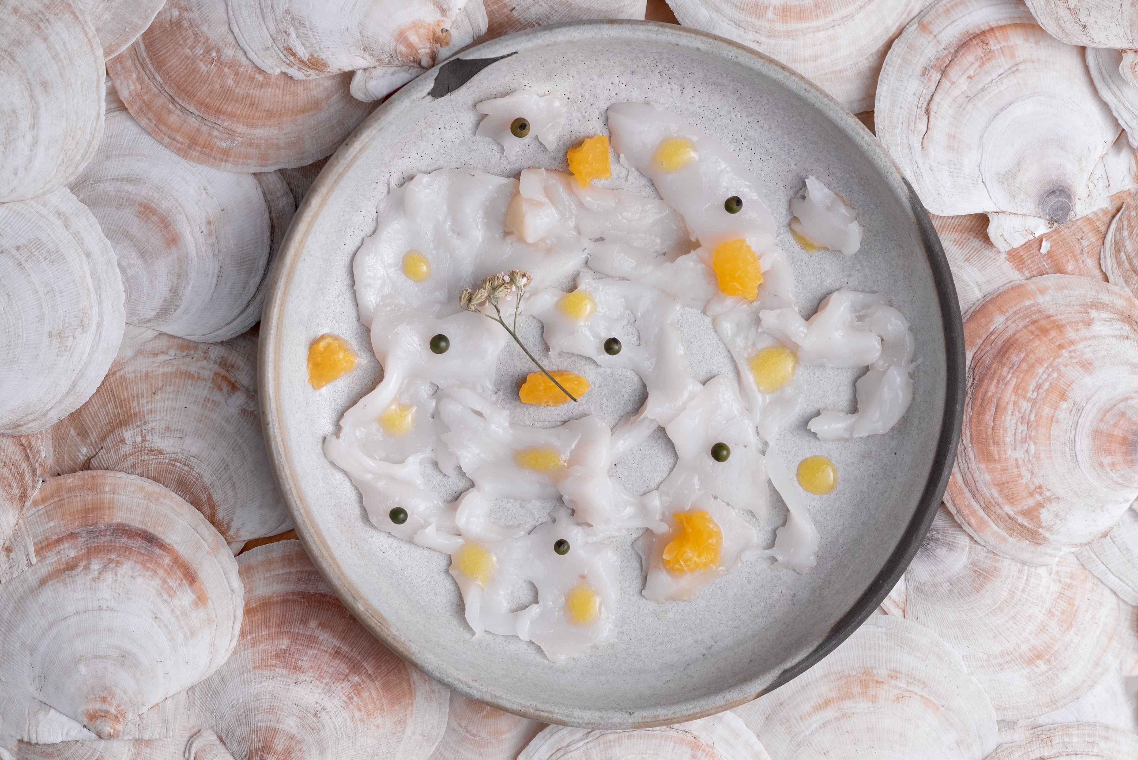 scallop ceviche