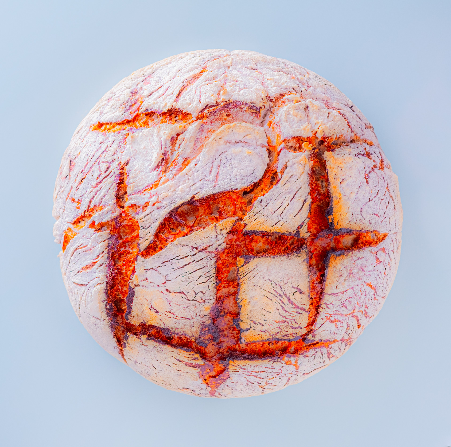 world wide bread