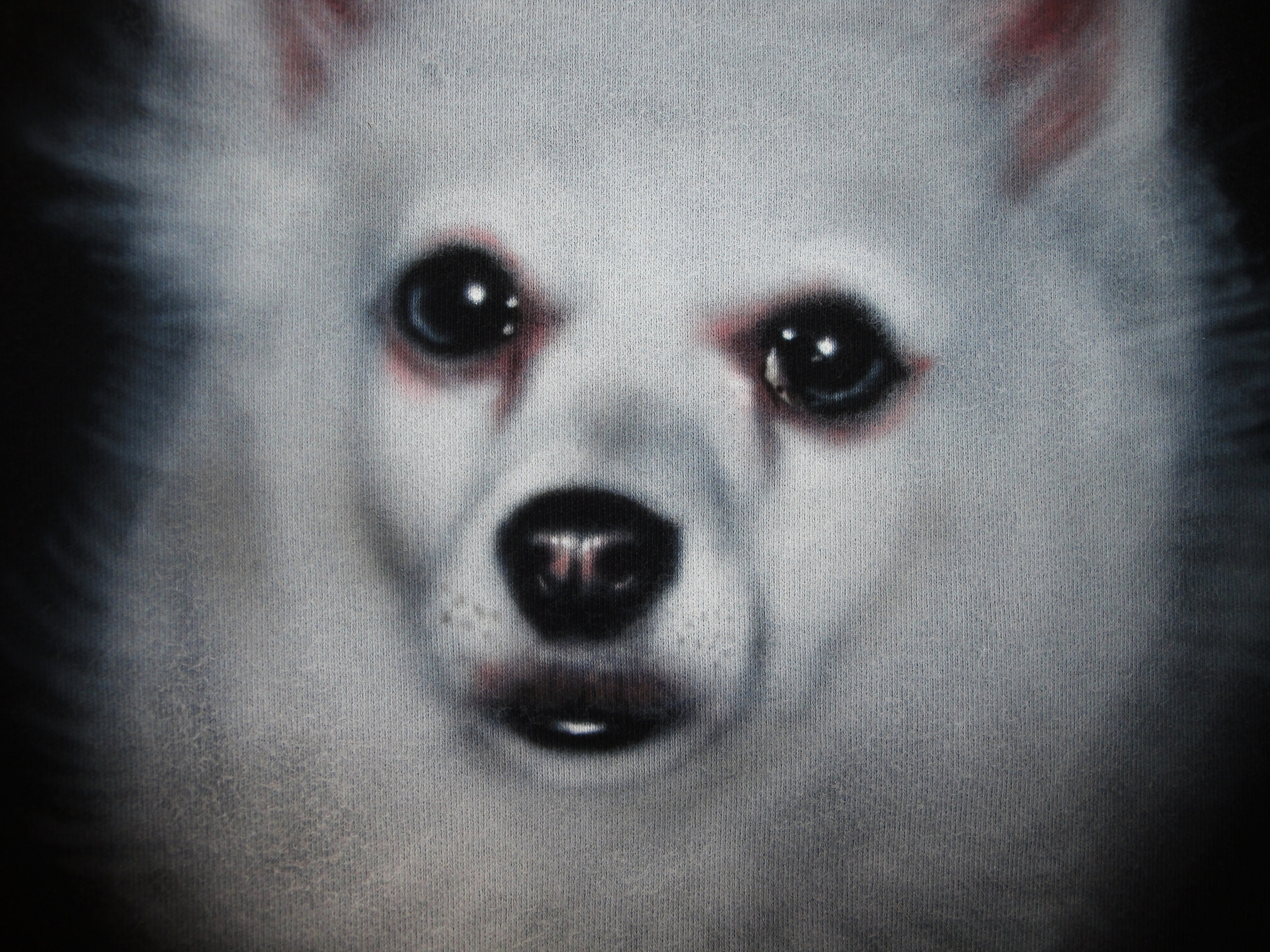 Raska portrait airbrush on (ladies) black tshirt