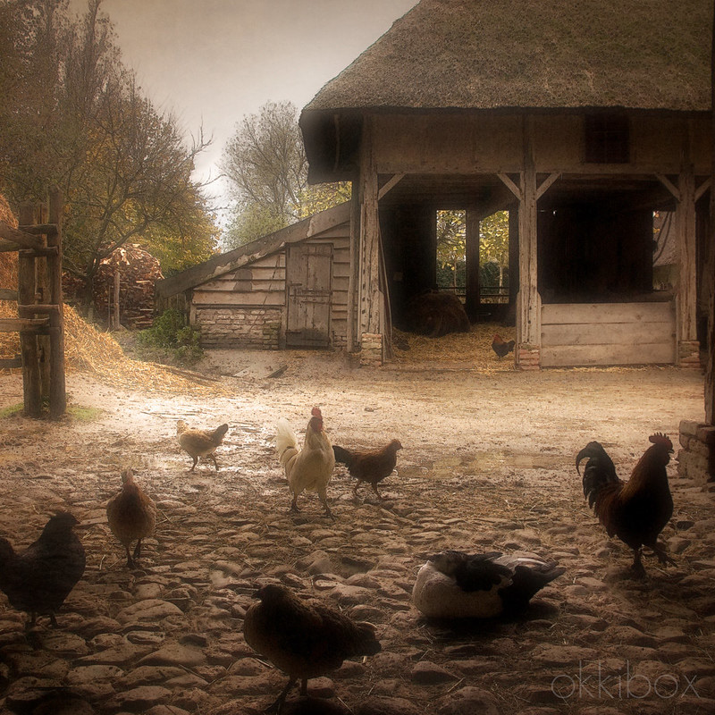 Season Of Mist