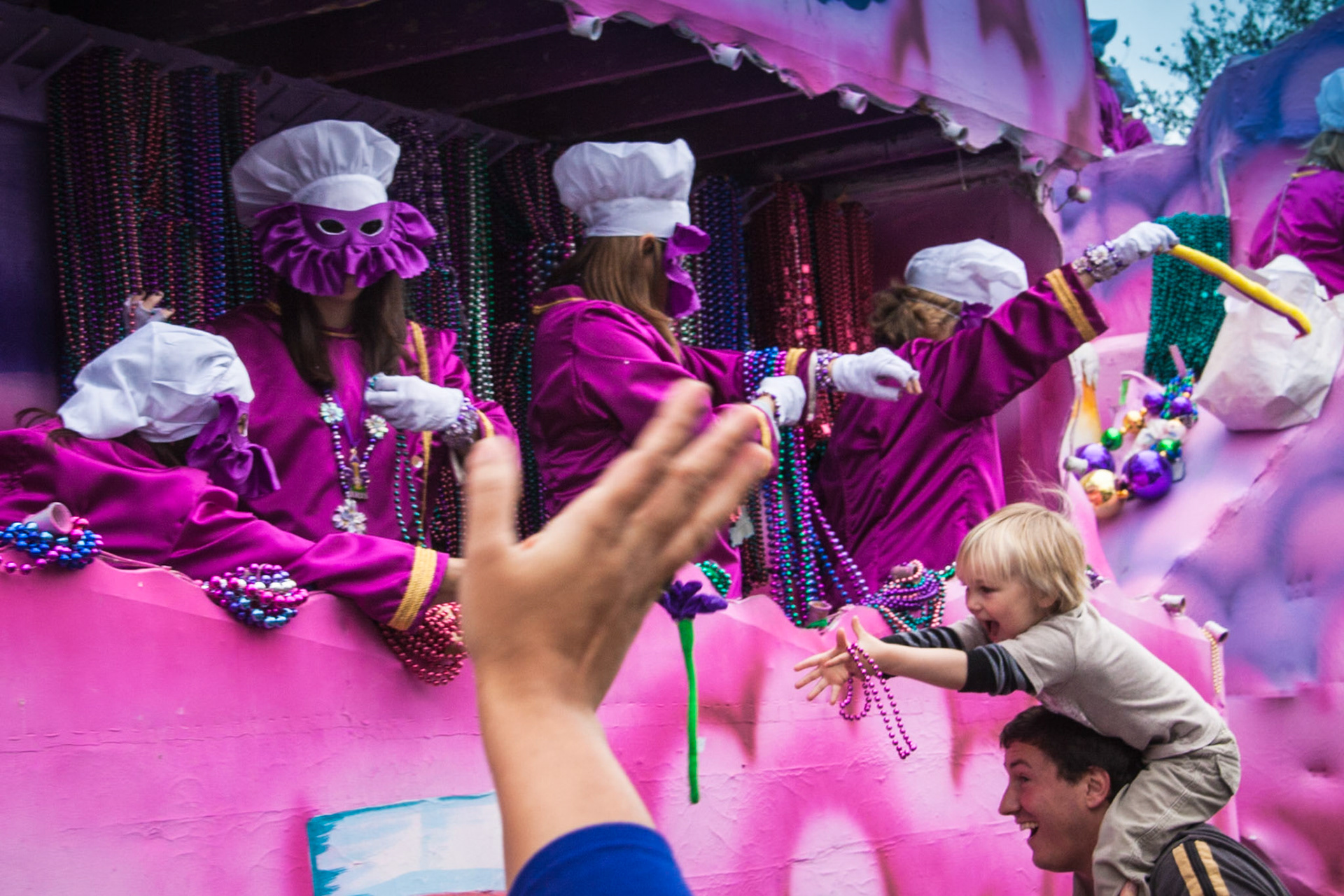 Iris, St. Charles Ave.