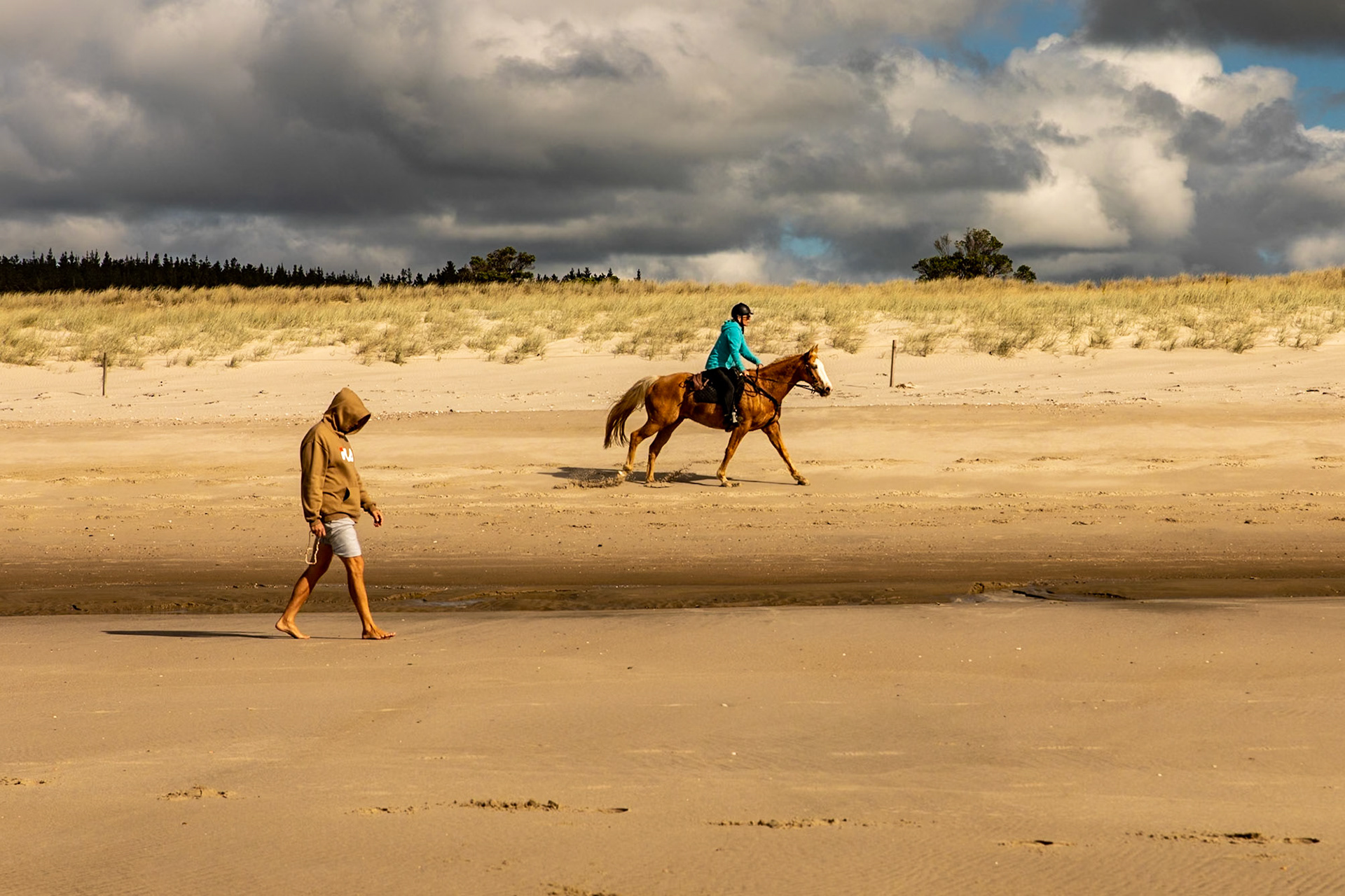 Walking the Beach, Manguwhai, NZ