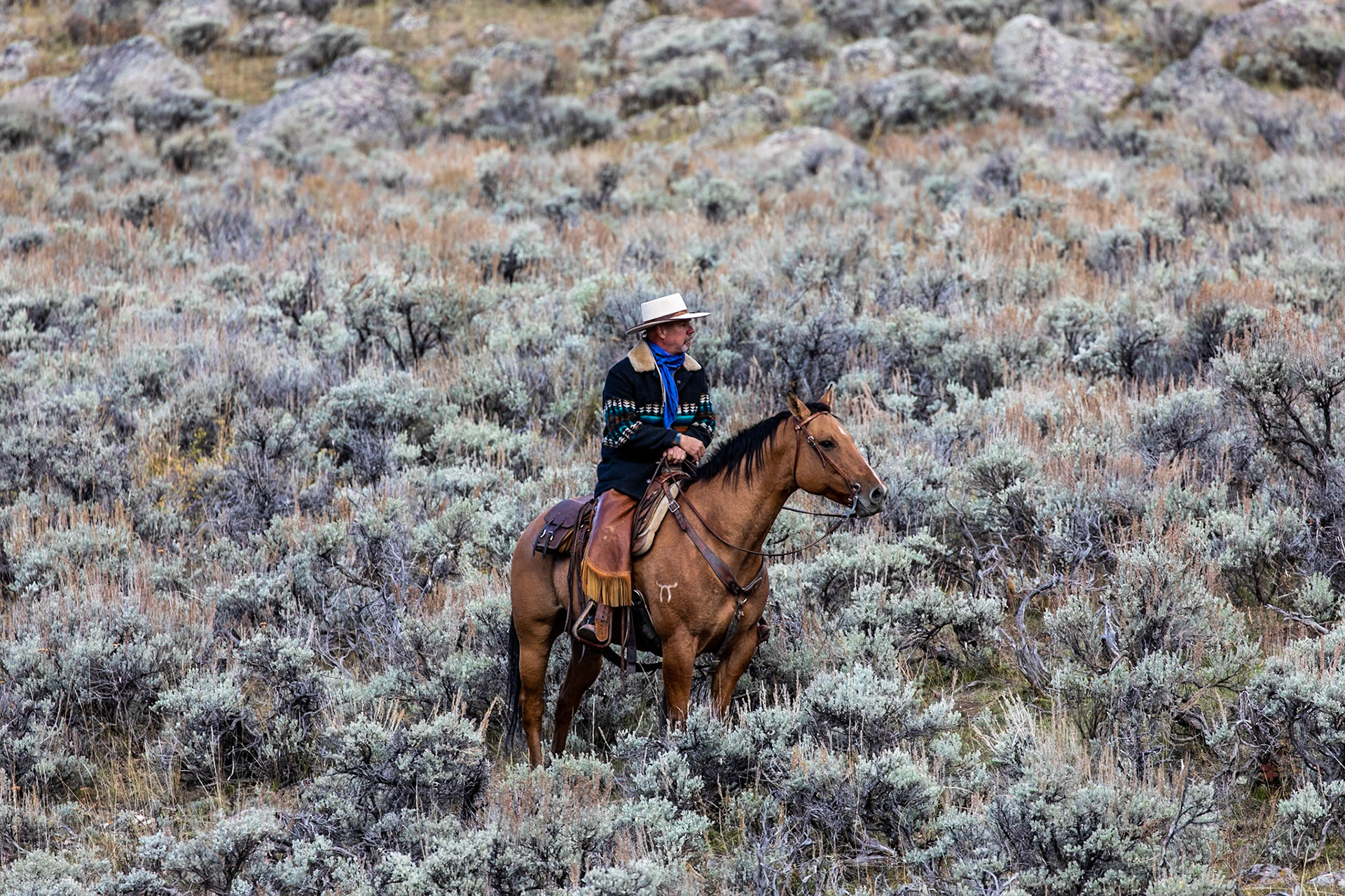 Real Cowboy, Big Horn Mts.  WY