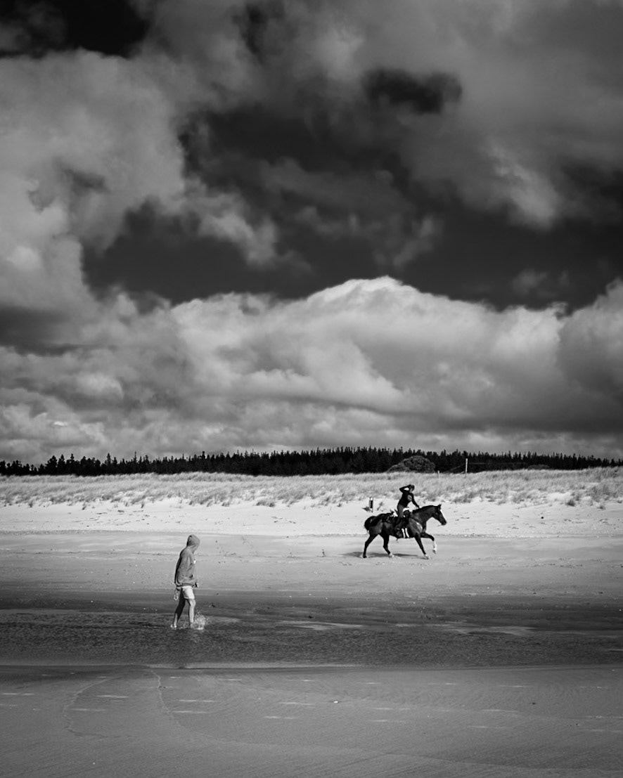Walking the Beach, Manguwhai, NZ