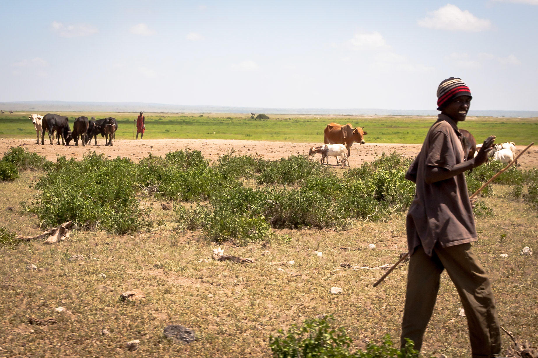 Amboseli National Park, Kenya