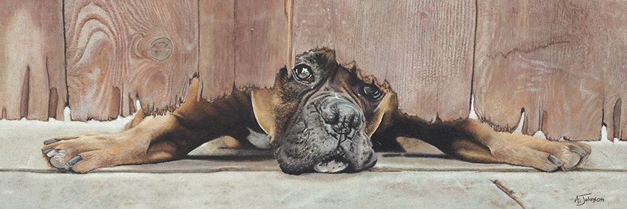 Rocky / Pastel on Paper
