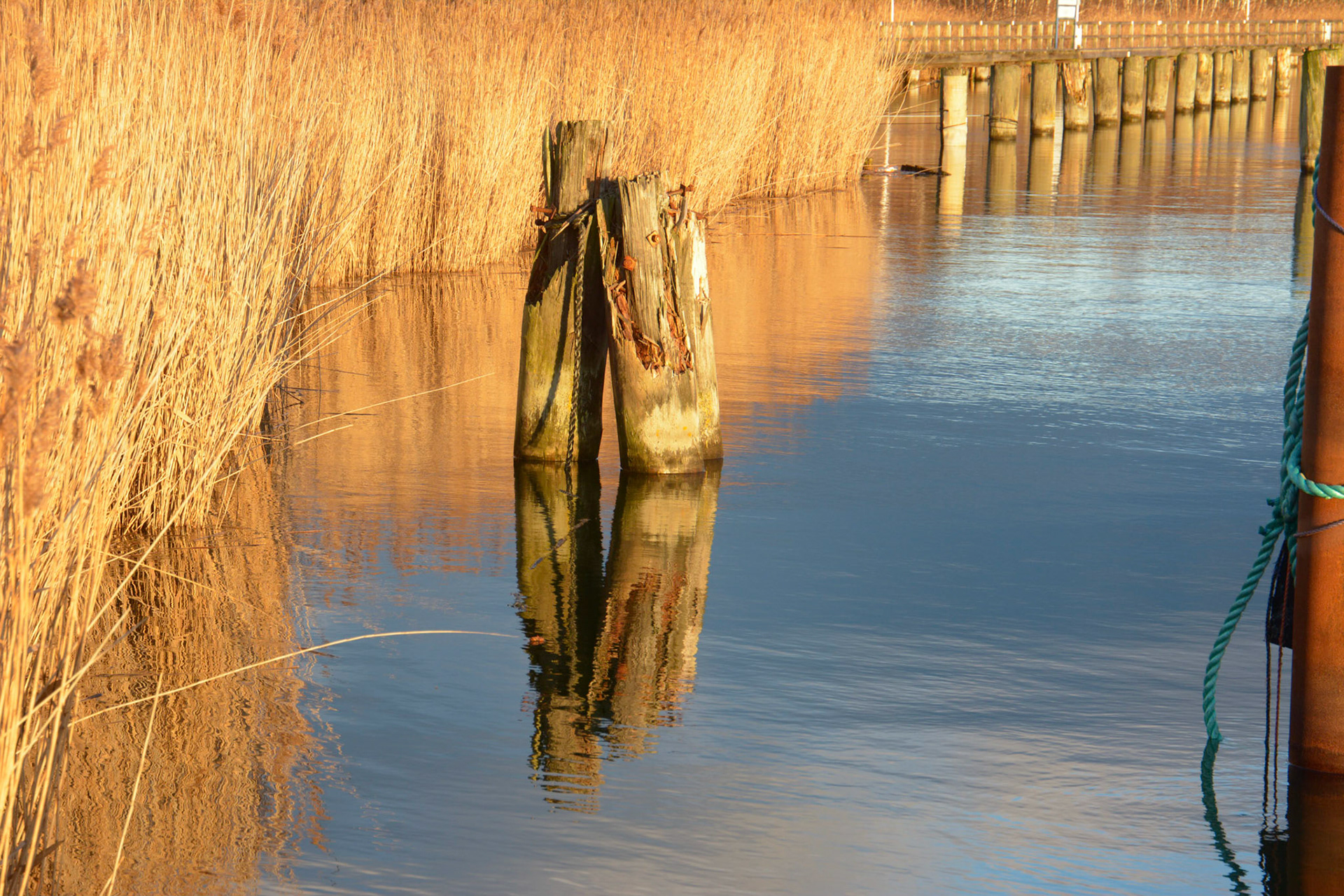 Zingst