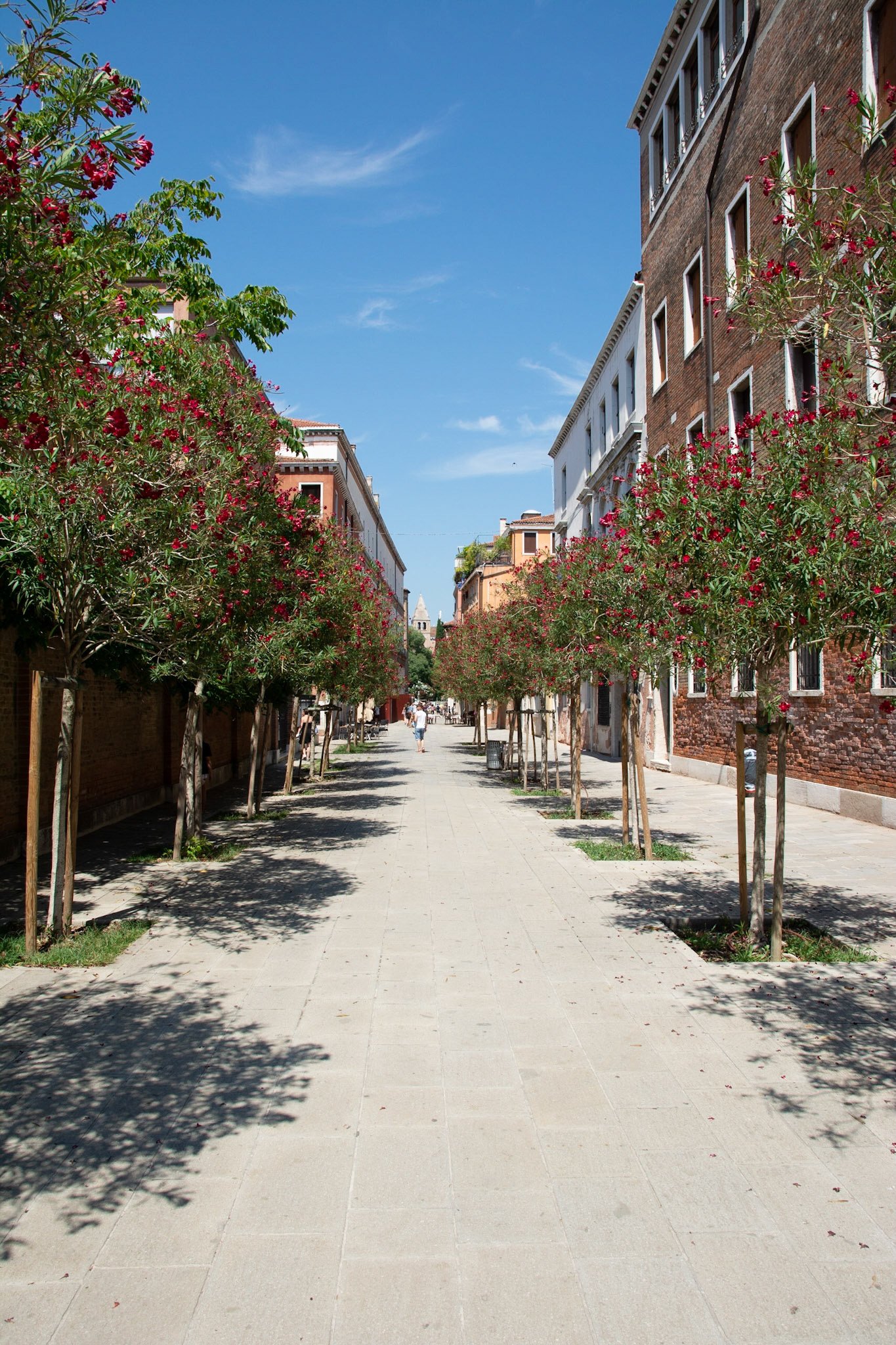 Verona
