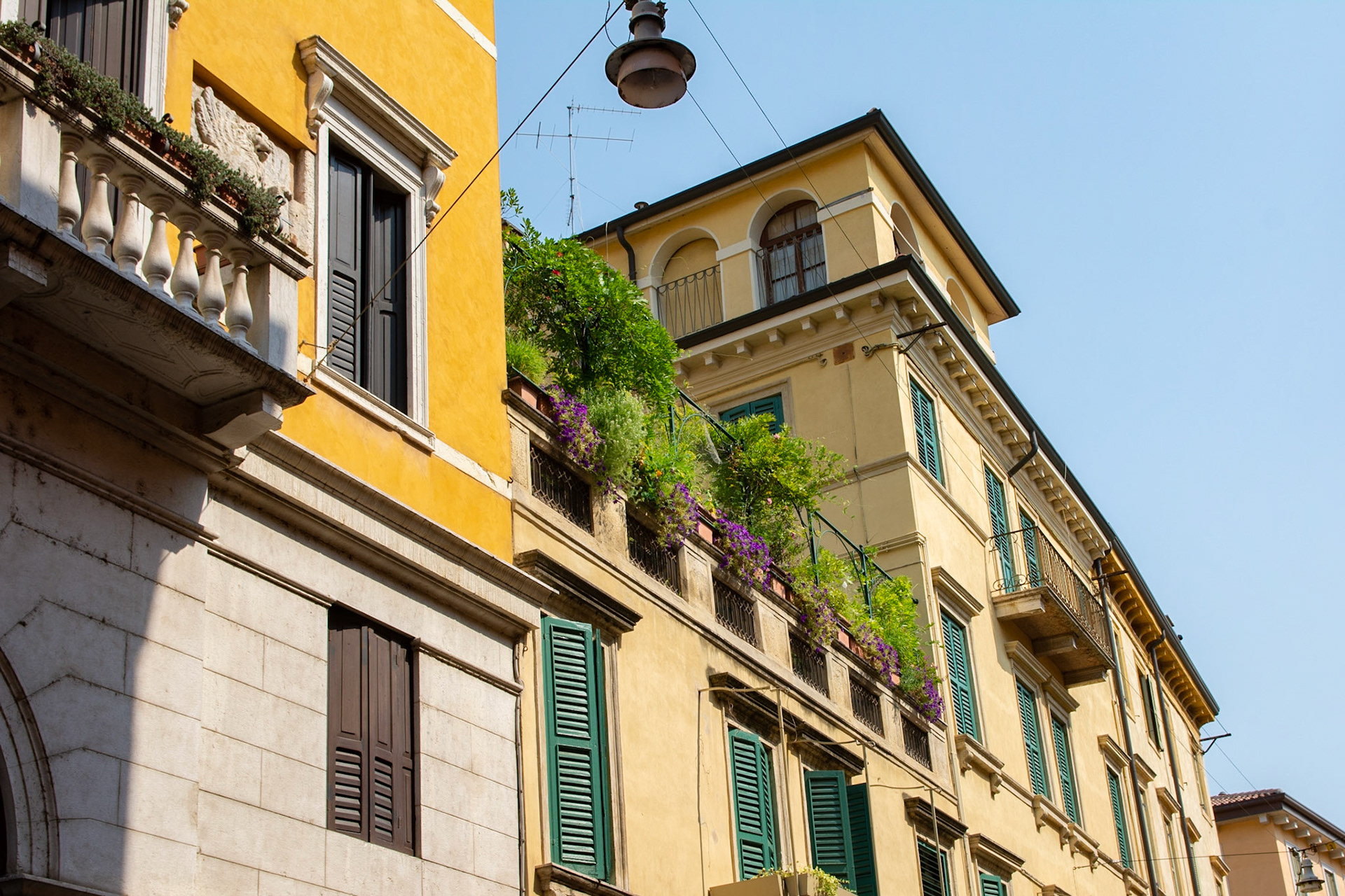 Verona