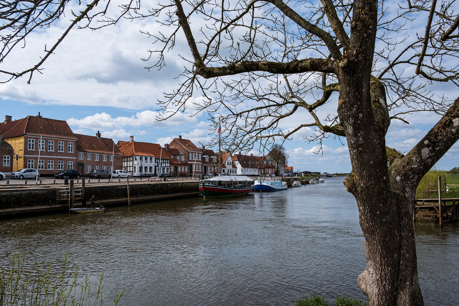 Ribe (9)
