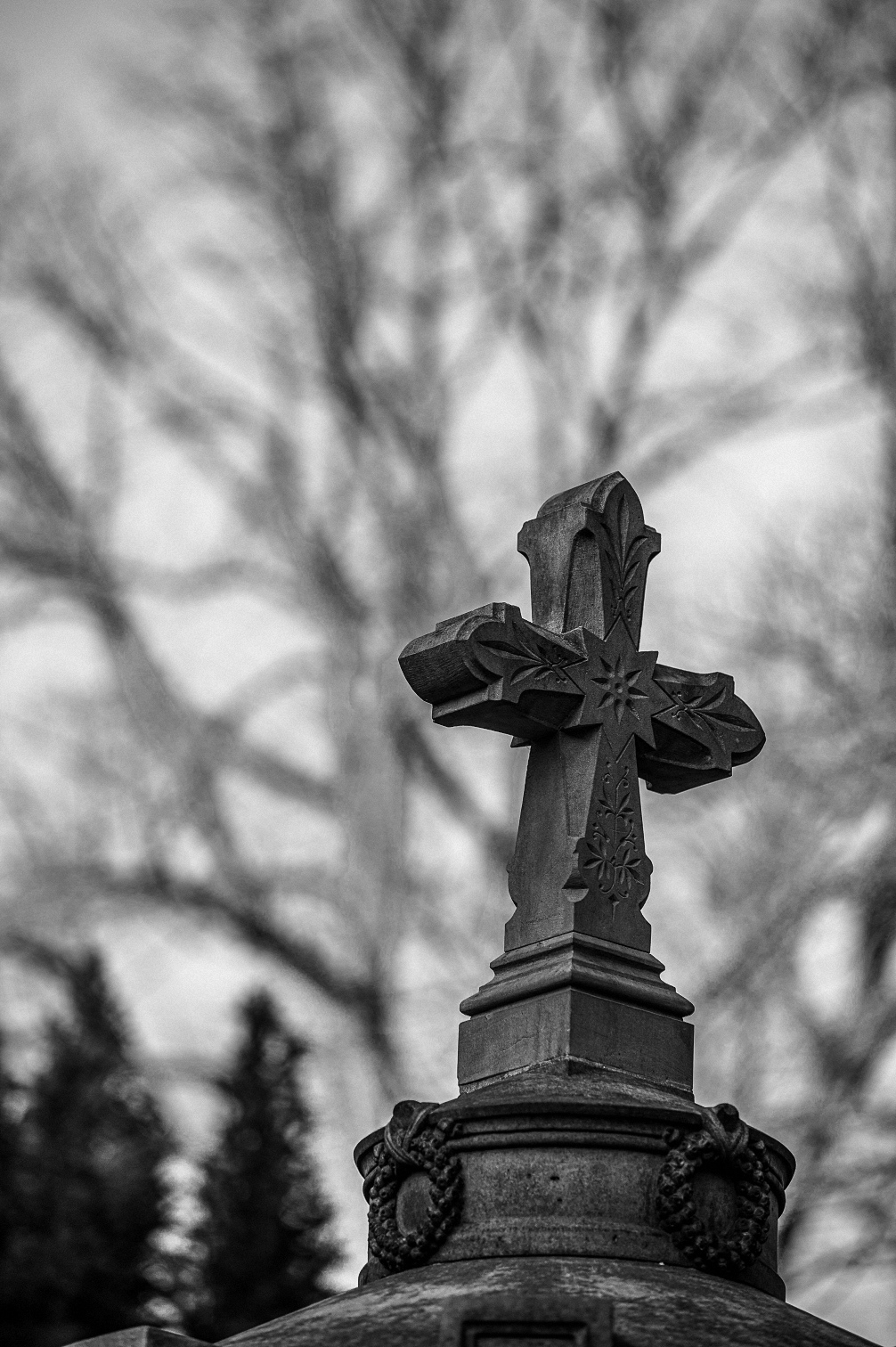 Impressionen vom Hasefriedhof (6)