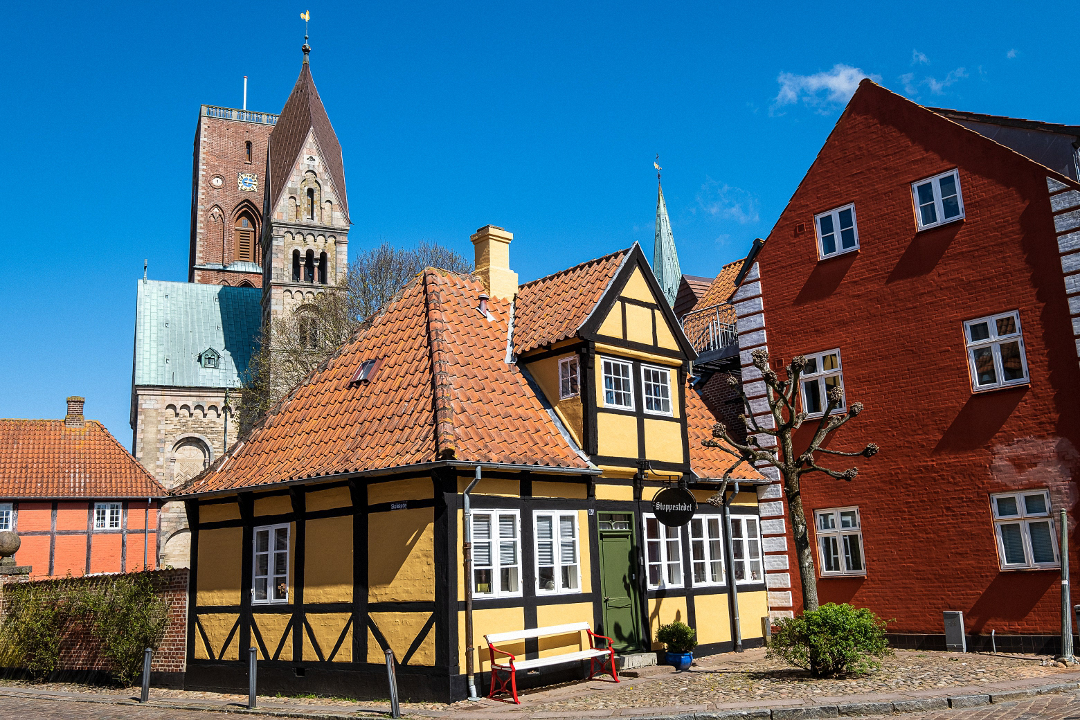 Ribe (2)