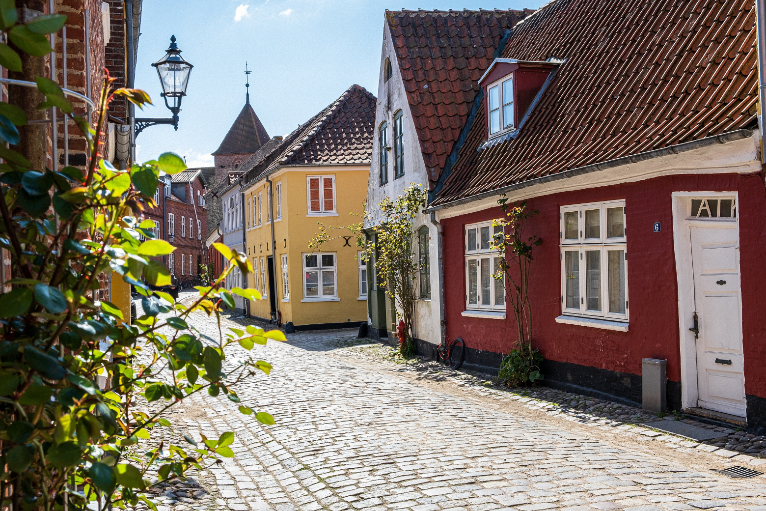 Ribe (7)