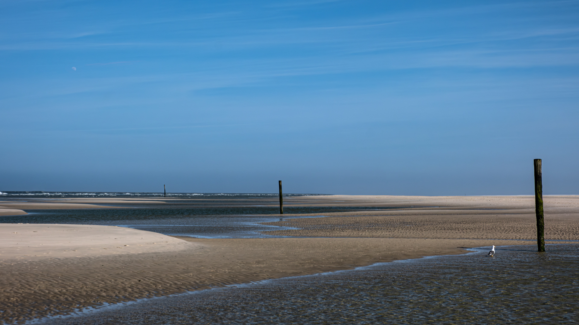 Wangerooge (3)