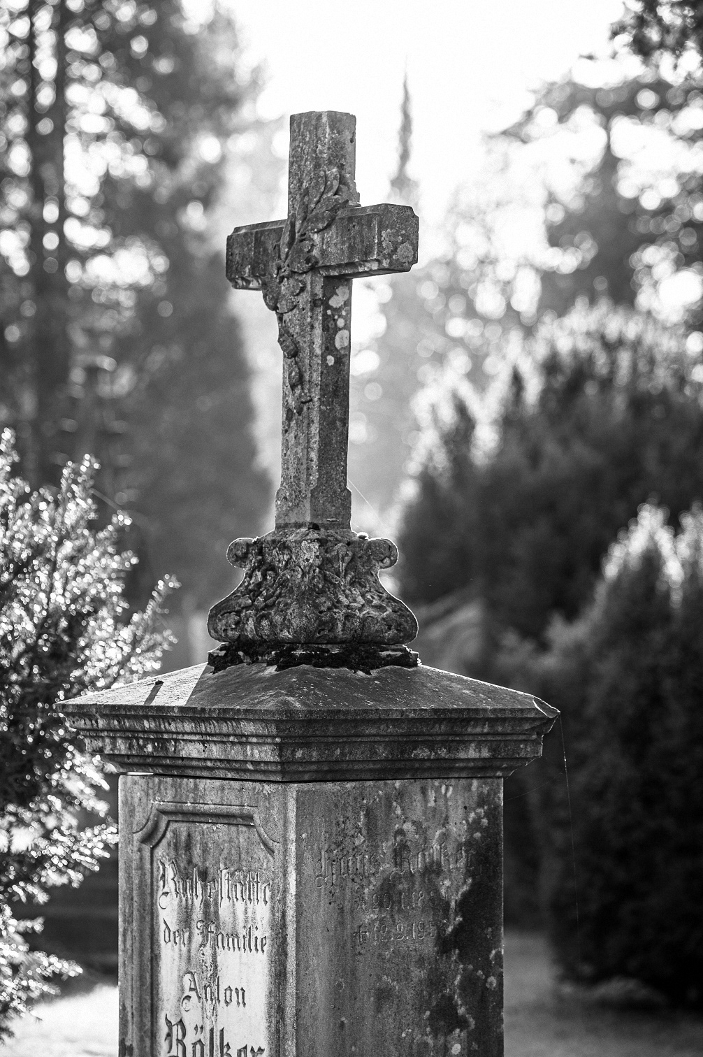 Impressionen vom Hasefriedhof (3)